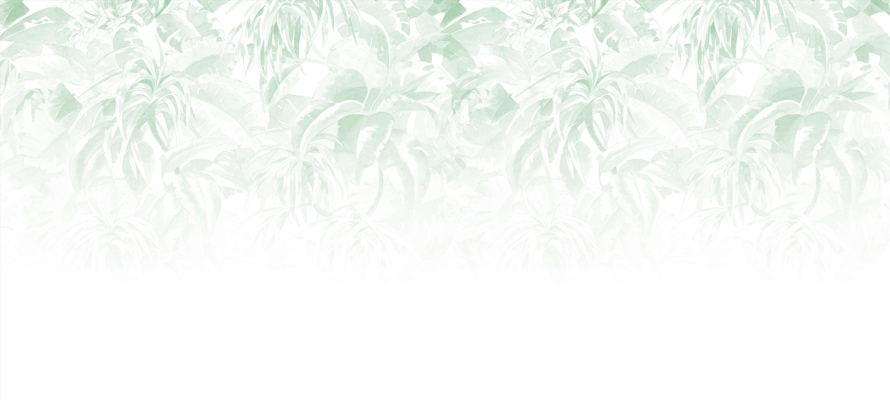             Fototapete tropische Blätter, minimalistisch & natürlich – Grün, Weiß
        