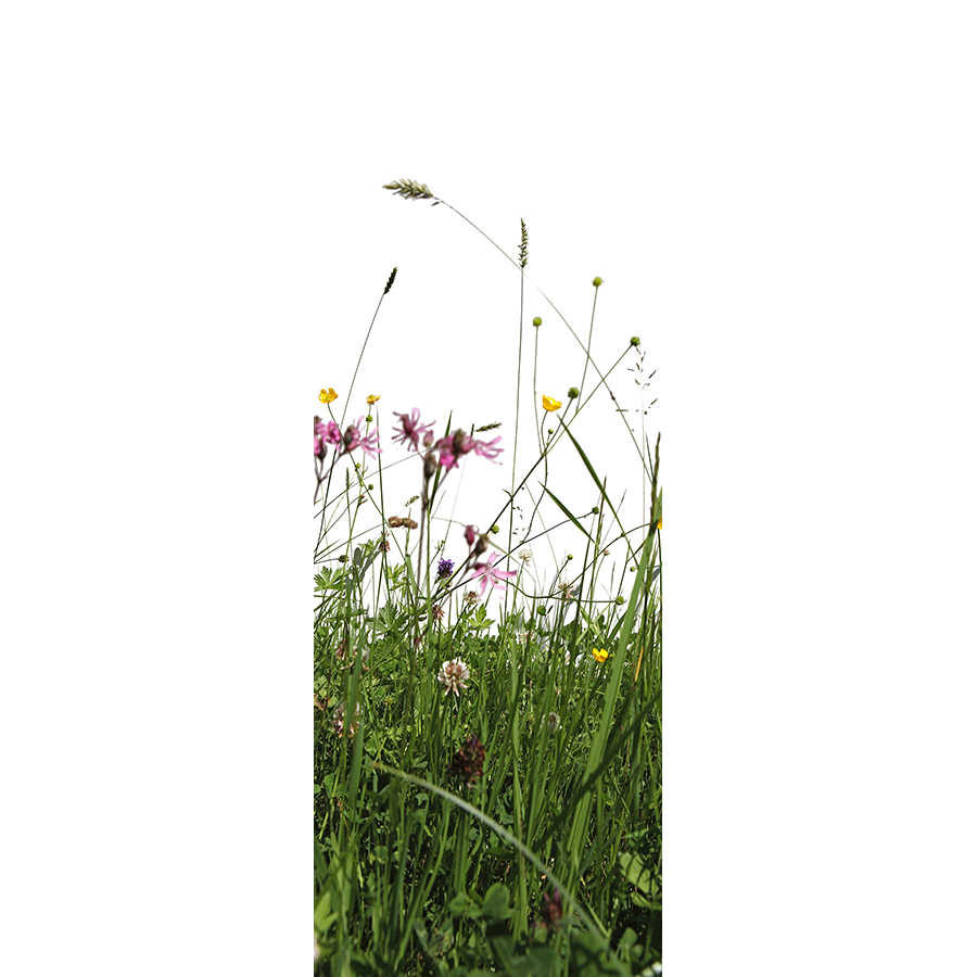 Natur Fototapete Blumenwiese auf Perlmutt Glattvlies
