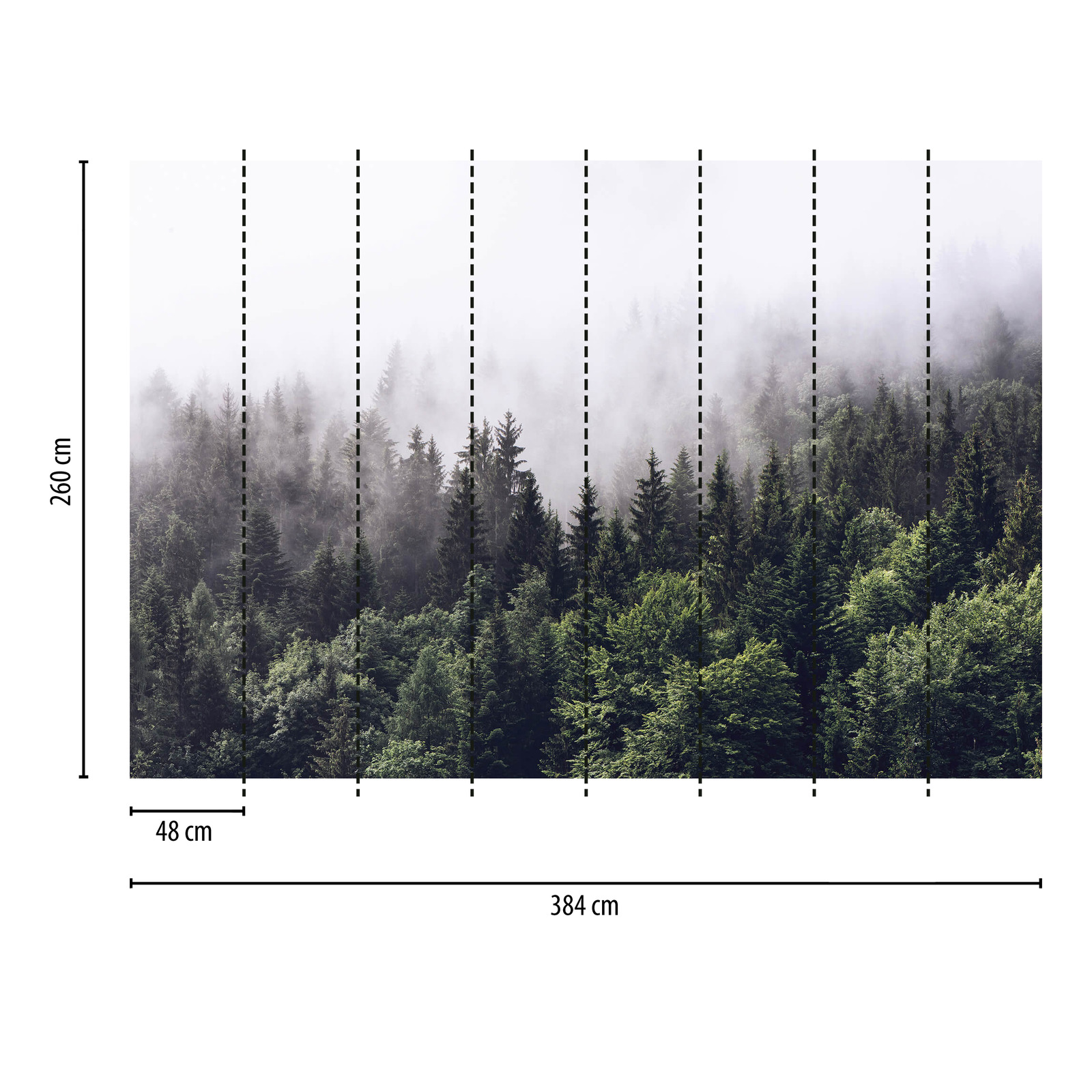             Fototapete Wald im Nebel – Grün, Weiß
        