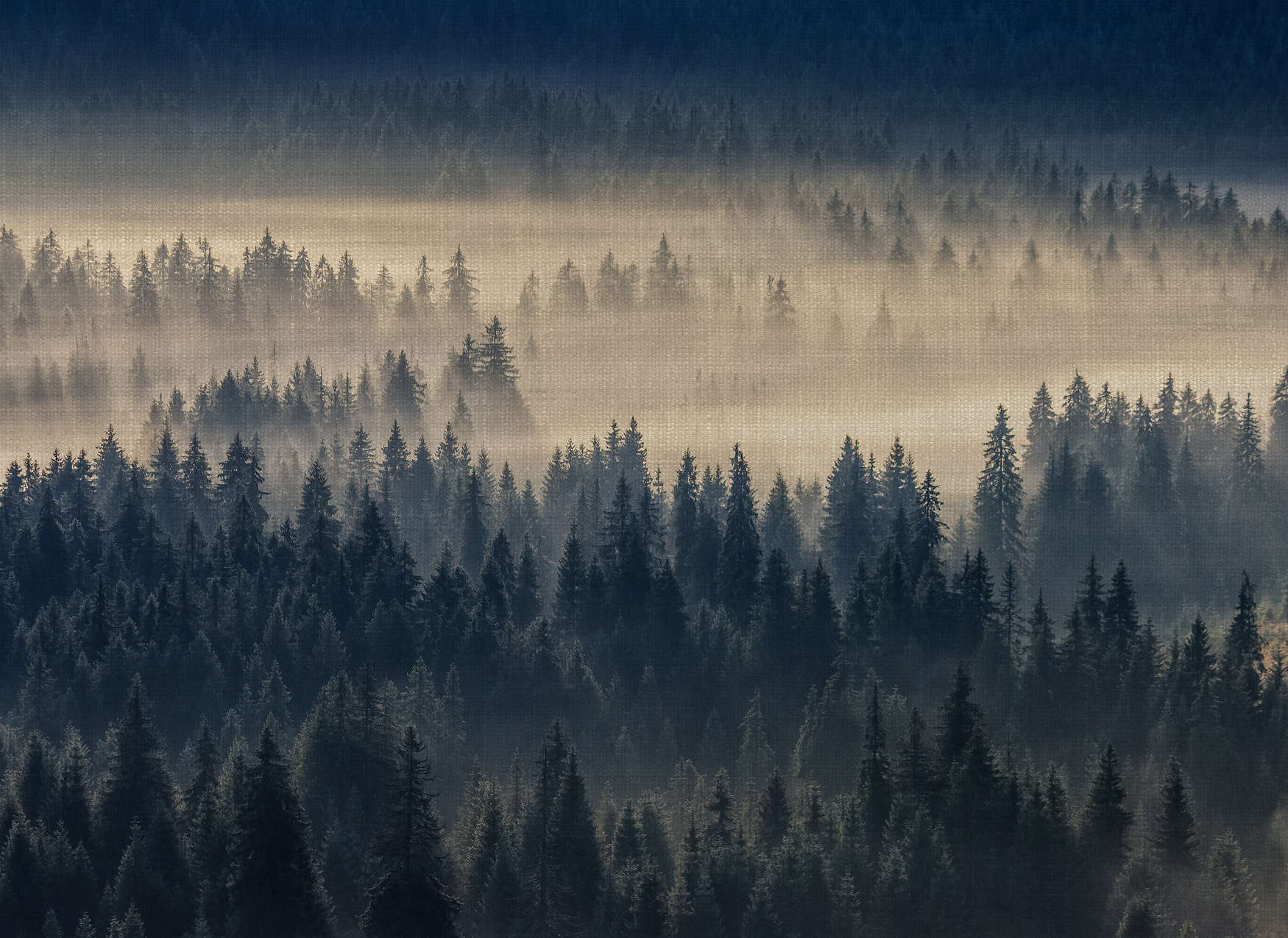             Fototapete mit Waldlandschaft auf Leinenstruktur-Optik – Blau, Beige
        
