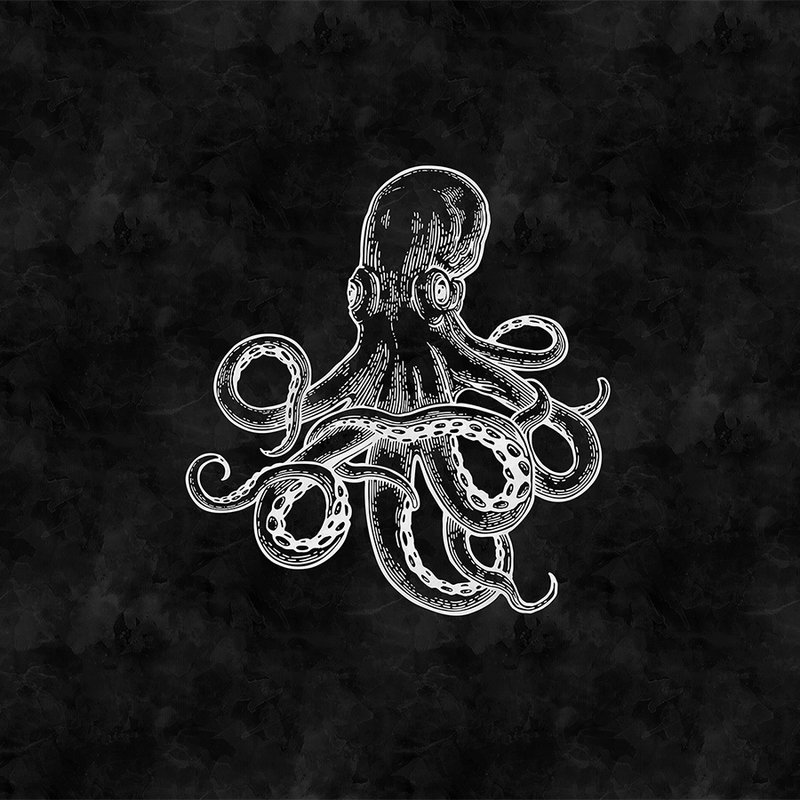 Schwarz-Weiße Fototapete Oktopus & Tafel-Look
