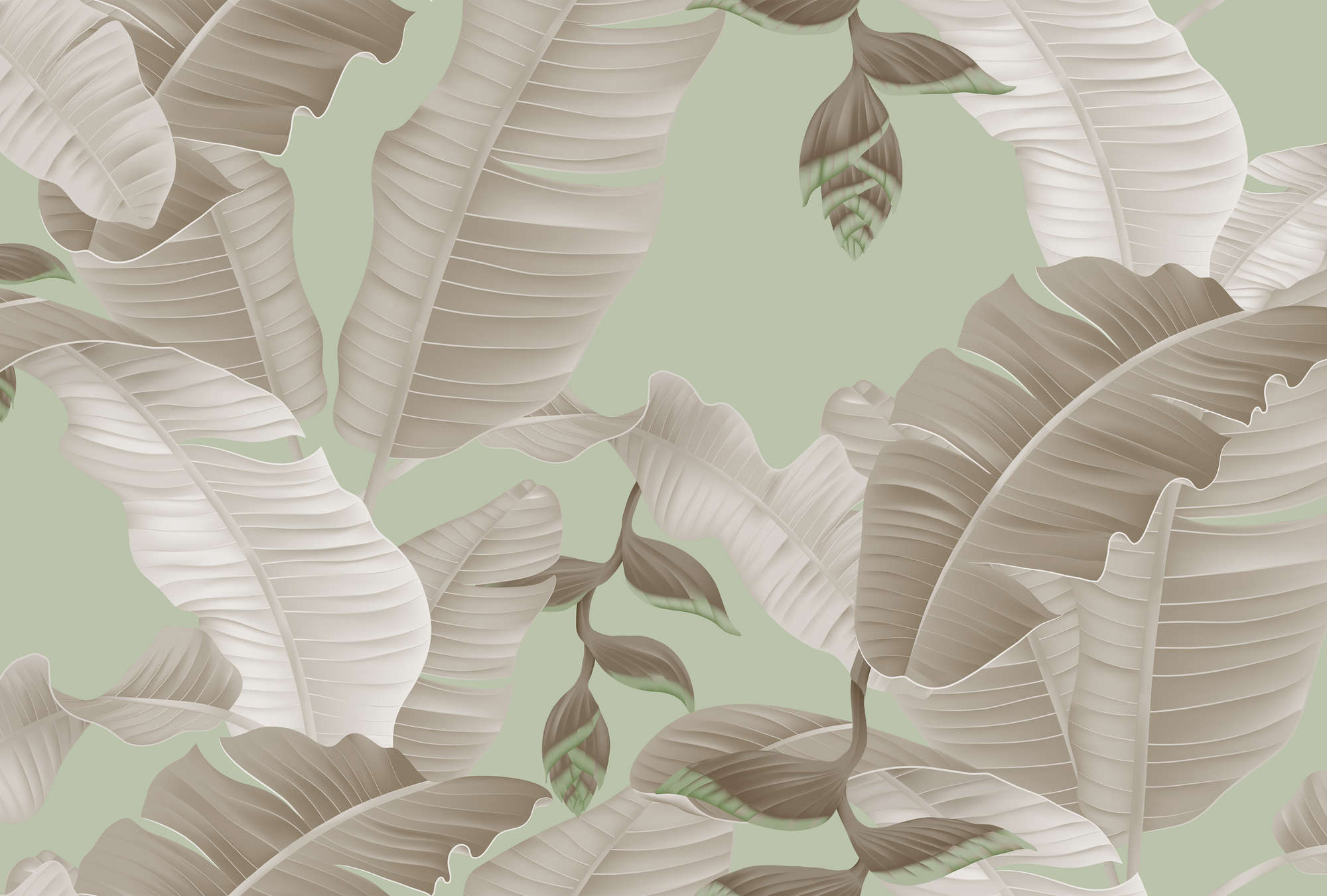             Palmenblätter Fototapete im Grafik Stil – Grün, Grau
        