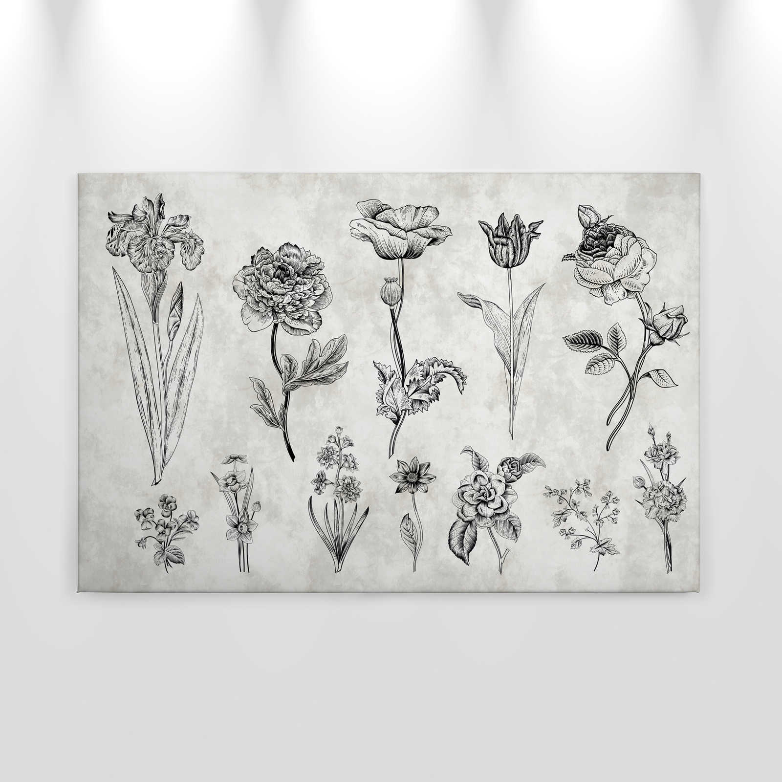             Leinwandbild Blumen im Zeichenstil – 0,90 m x 0,60 m
        