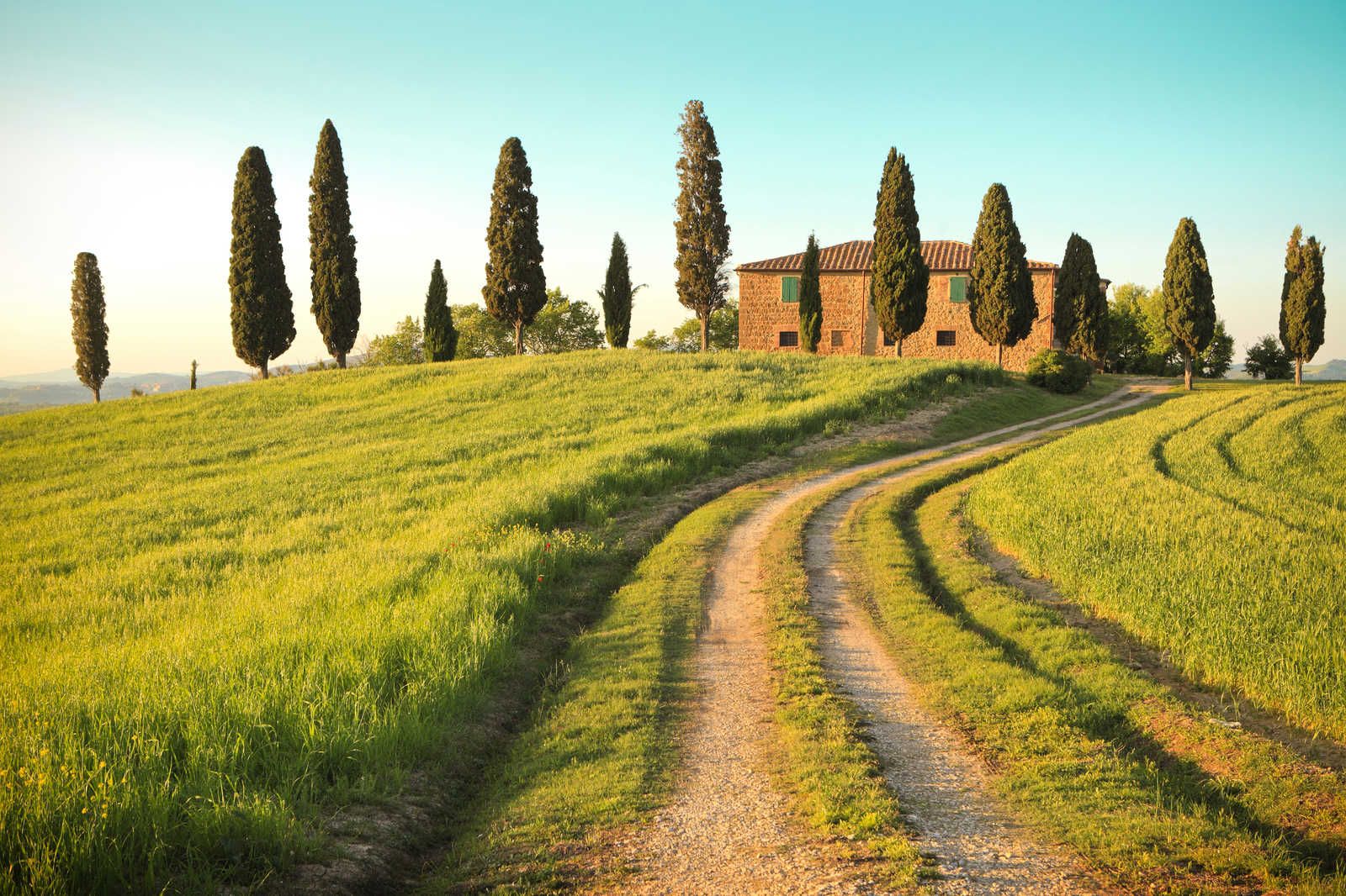             Natur Leinwandbild Toskana mit Villa und Zypressen – 0,90 m x 0,60 m
        