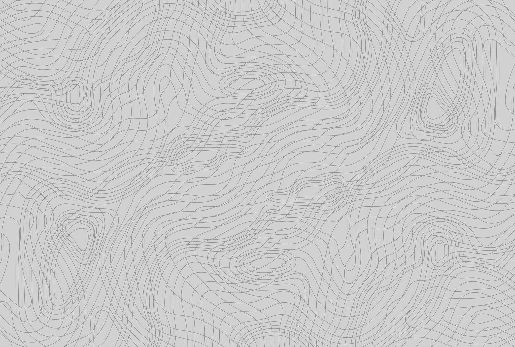             Fototapete Linienmuster, minimalistisch & organisch – Grau, Schwarz
        