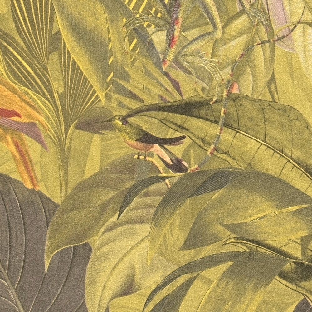             Dschungel Tapete mit Tieren, Kindermotiv – Braun, Grün
        