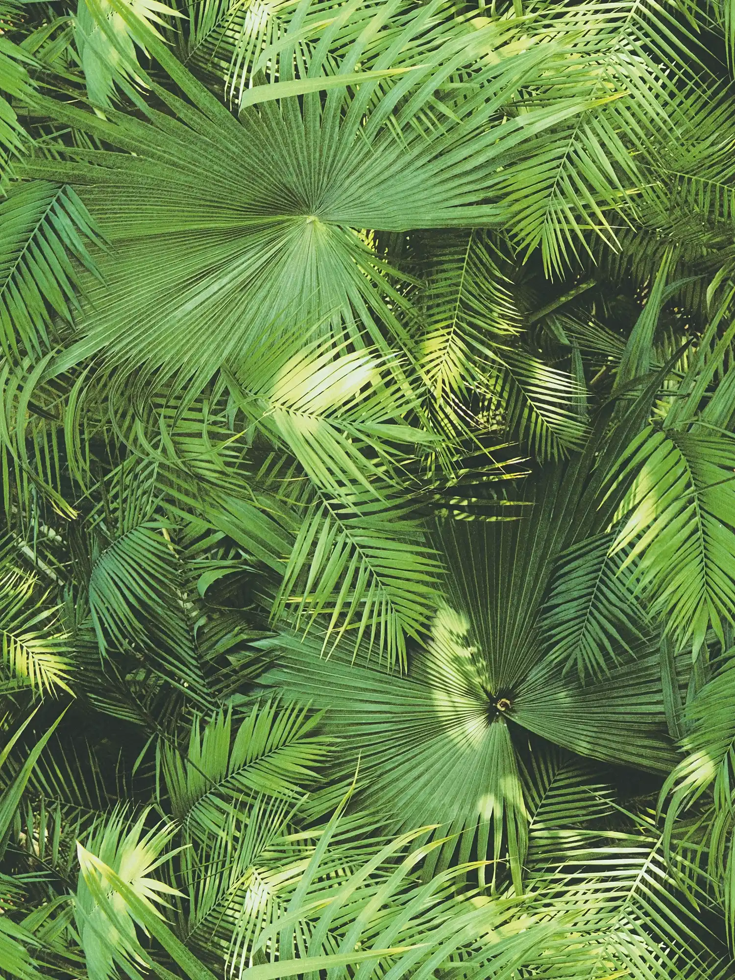 Selbstklebende Tapete | Dschungel-Blätter Muster grüner Urwald
