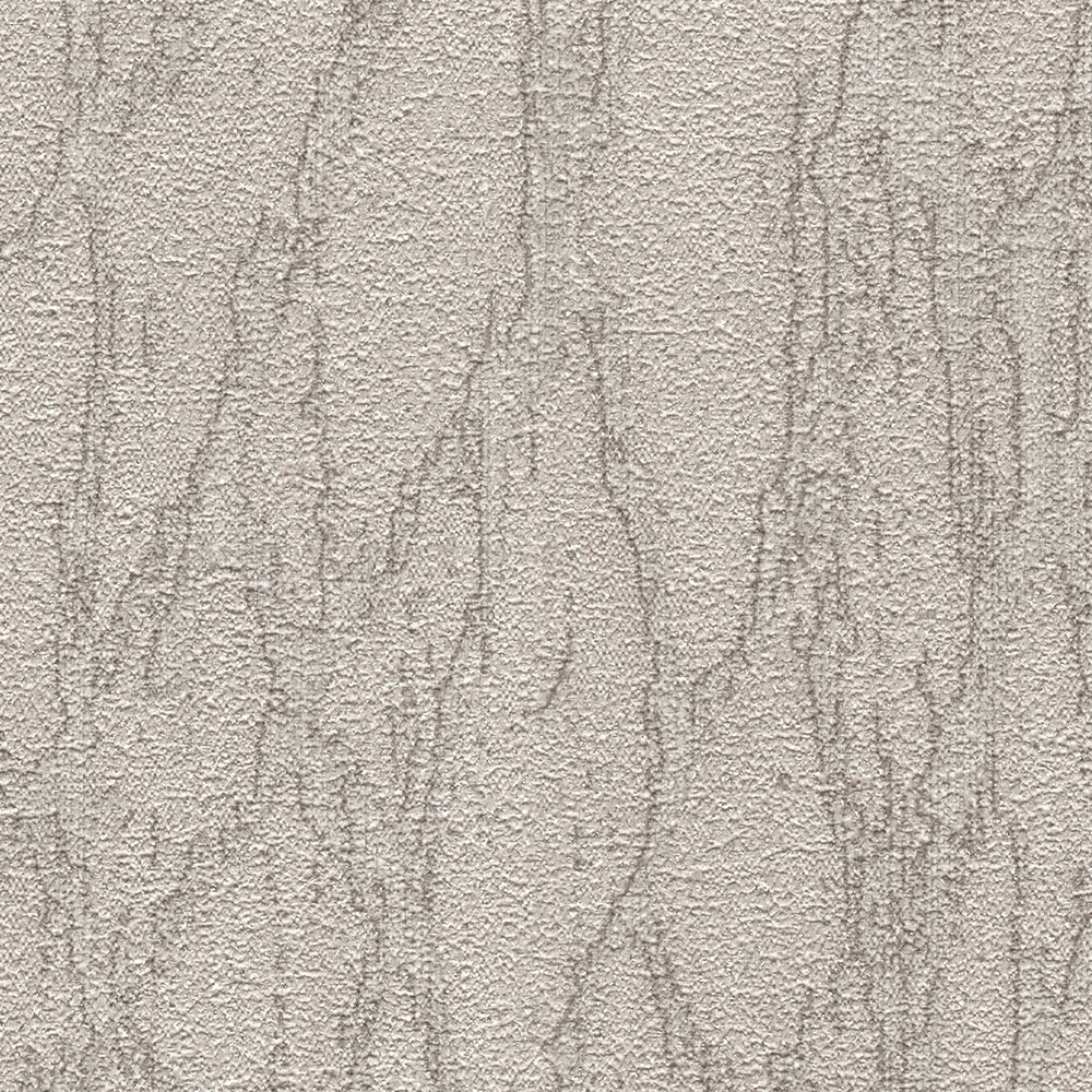             Vliestapete in Putzoptik mit Akzenten und abstraktem Muster – Grau, Beige, Silber
        