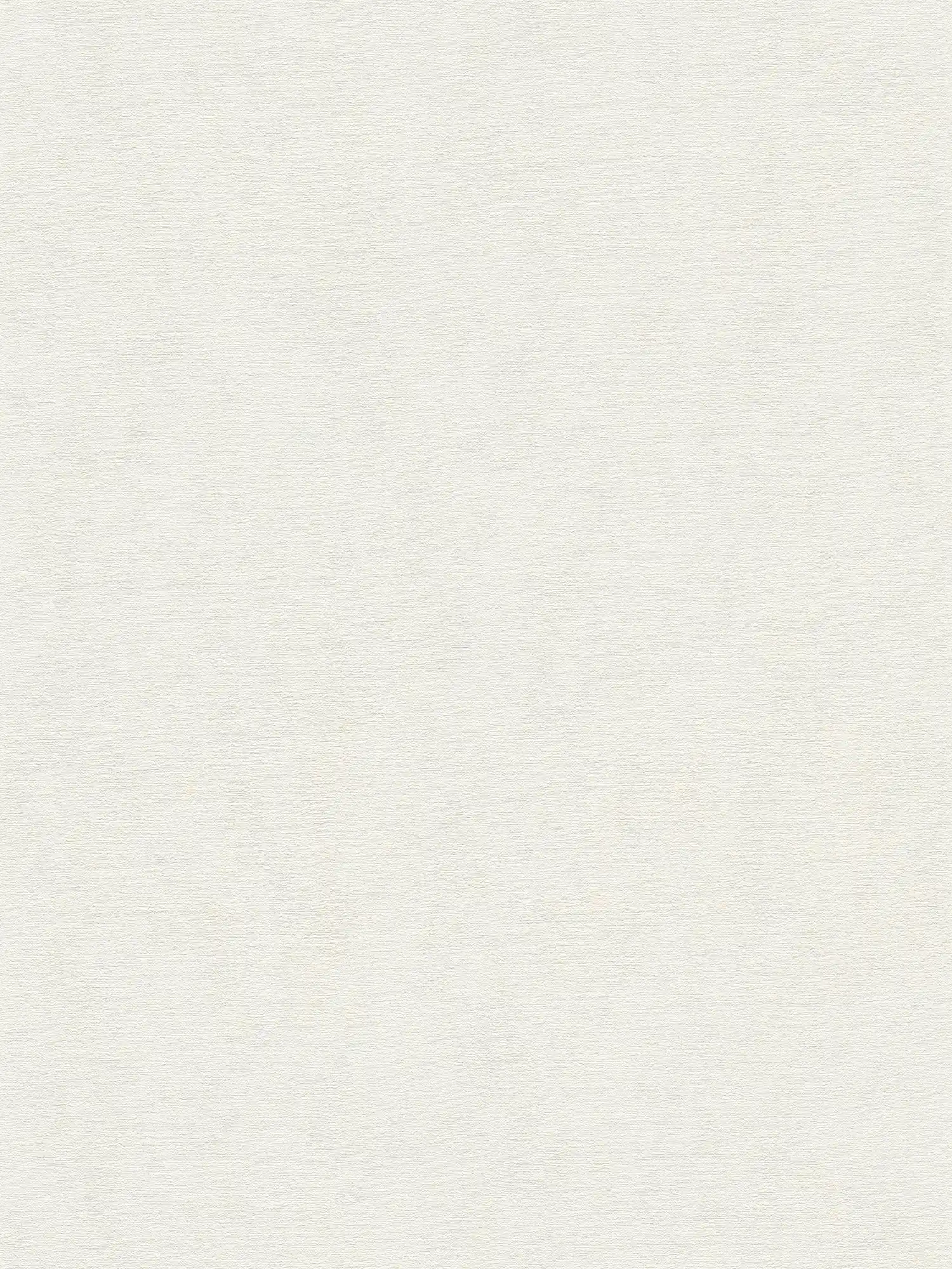 Vliestapete einfarbig in schlichtem Farbton – Weiß
