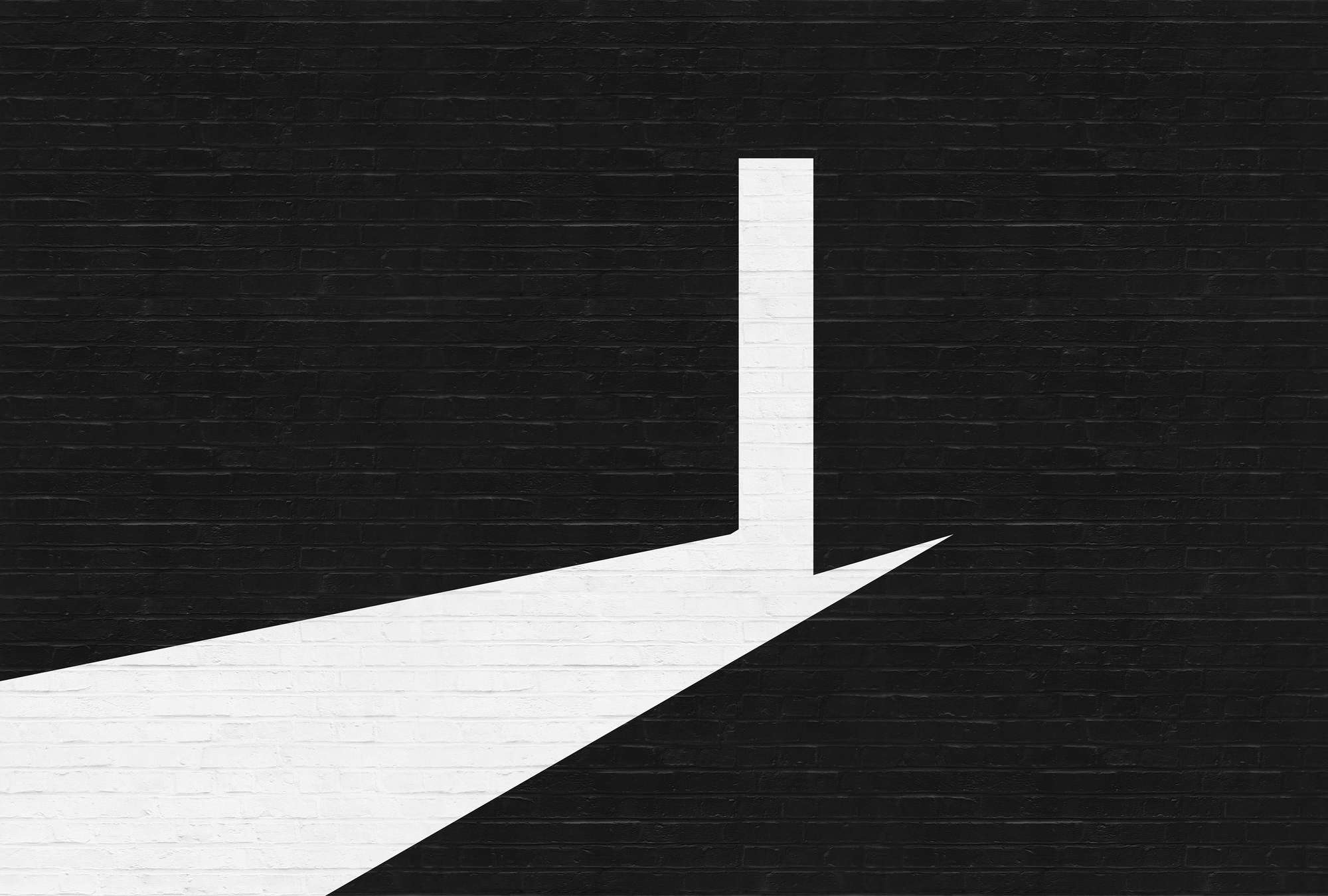             Fototapete Mauer-Ziegel, Schwarz-Weiß Grafik-Design – Weiß, Schwarz
        