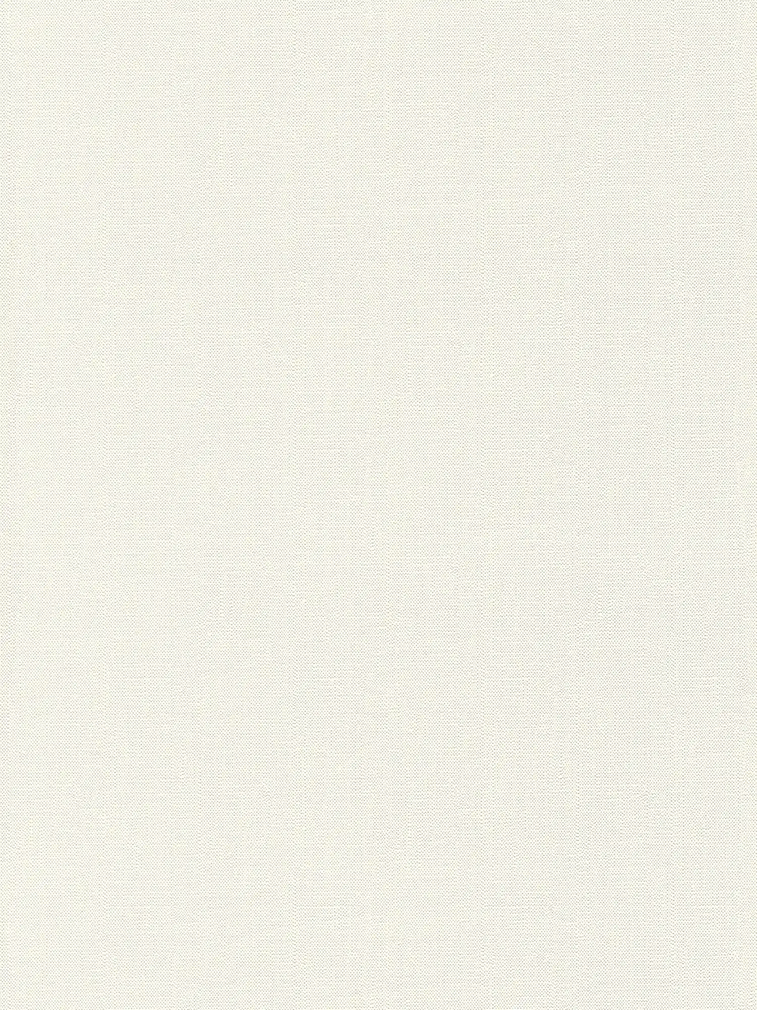 Vliestapete Weiß einfarbig matt mit Schaumstruktur

