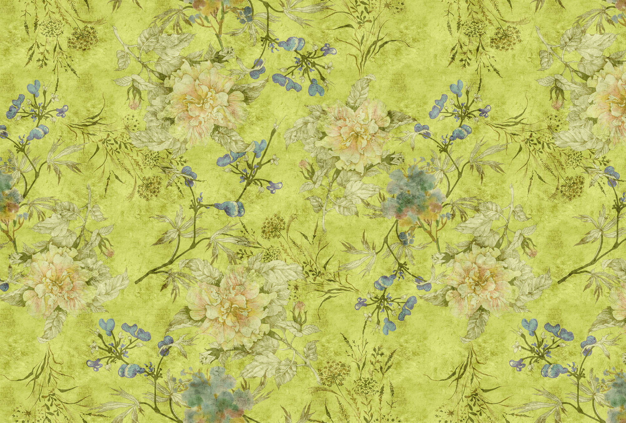            Tenderblossom 1 - Fototapete mit modernen Blütenranken in kratzer Struktur – Grün | Mattes Glattvlies
        