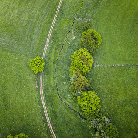 Gras Landschaft aus der Vogelperspektive – Feld mit Bäumen
