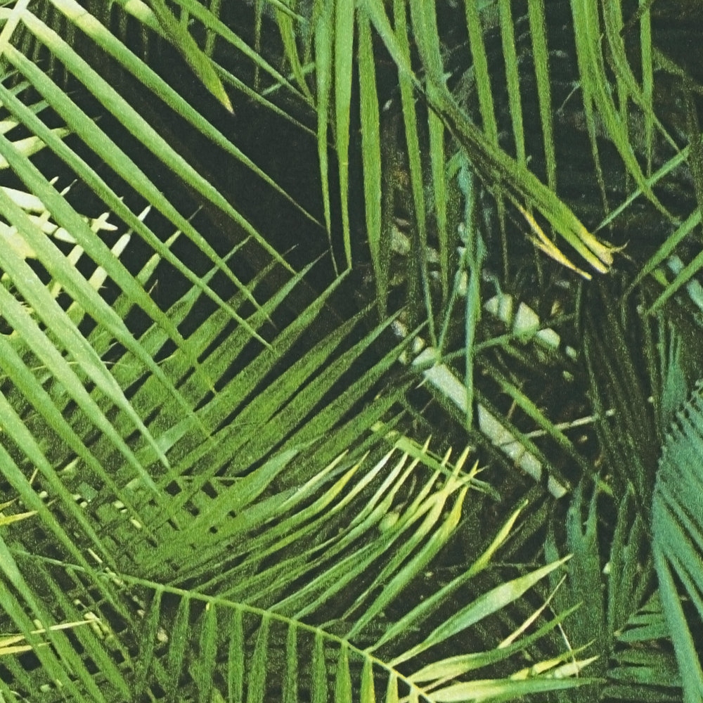             Selbstklebende Tapete | Dschungel-Blätter Muster grüner Urwald
        