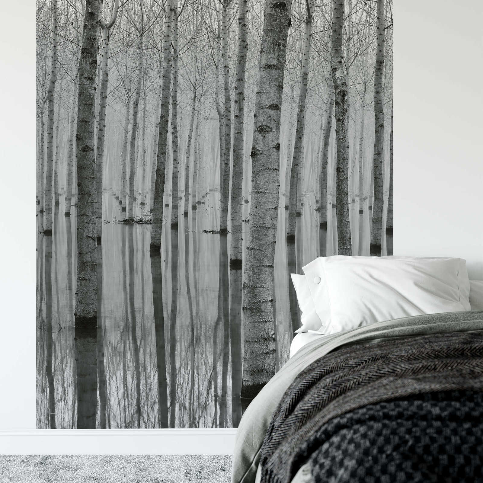             Fototapete Birkenwald im Wasser – Schwarz, Weiß, Grau
        