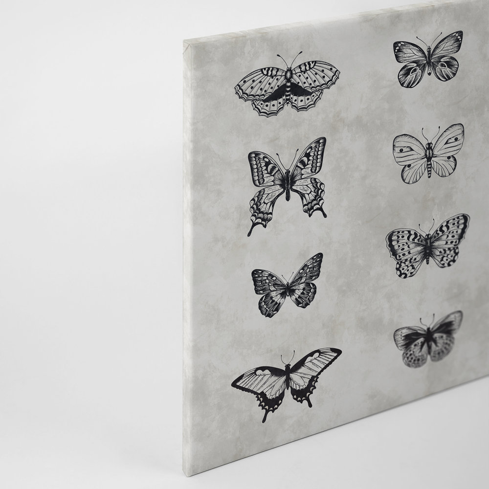             Schmetterling Leinwandbild Schwarz-Weiß Zeichnungen – 0,90 m x 0,60 m
        