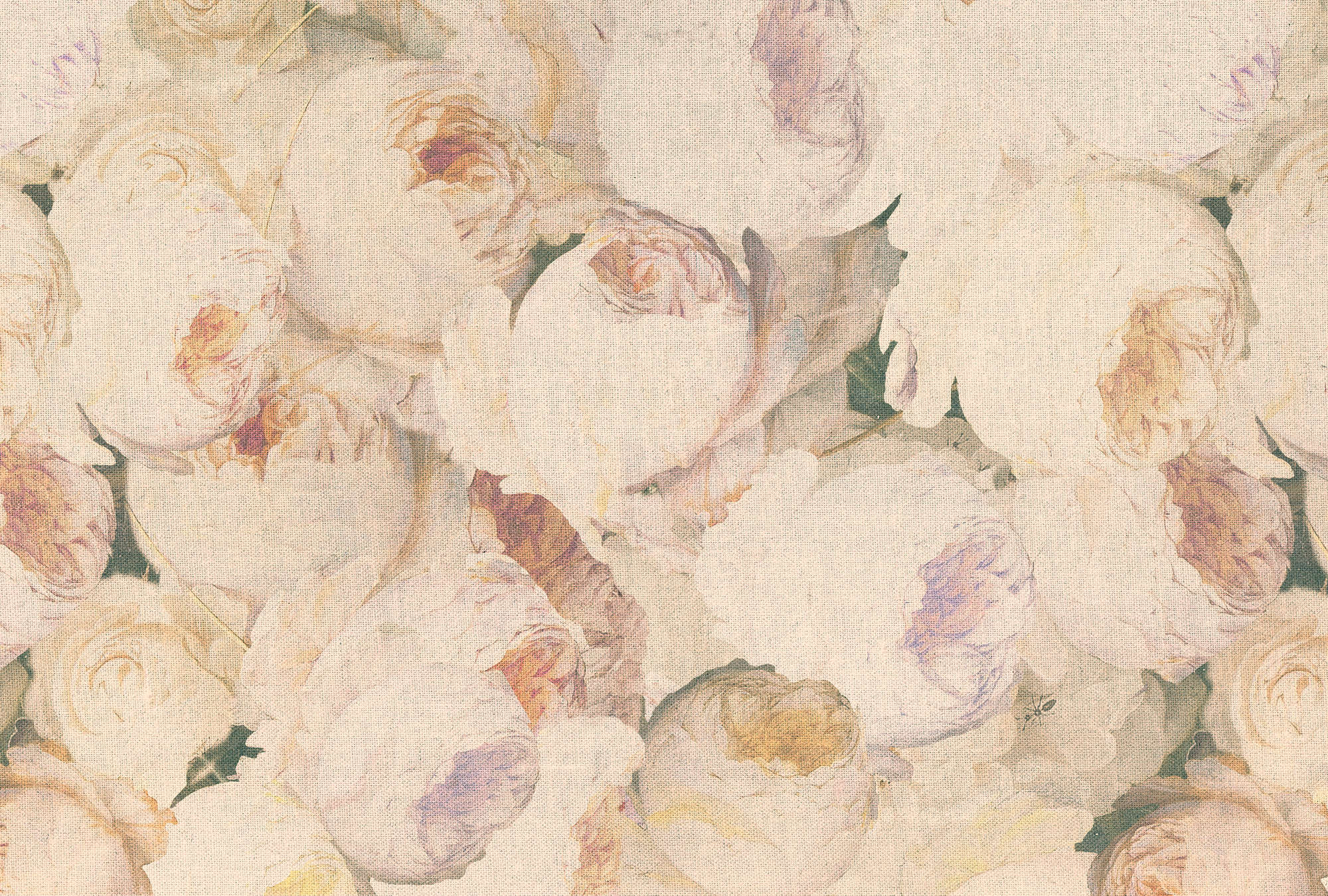             Fototapete Rosen, Blüten & Leinenoptik – Creme, Rosa
        
