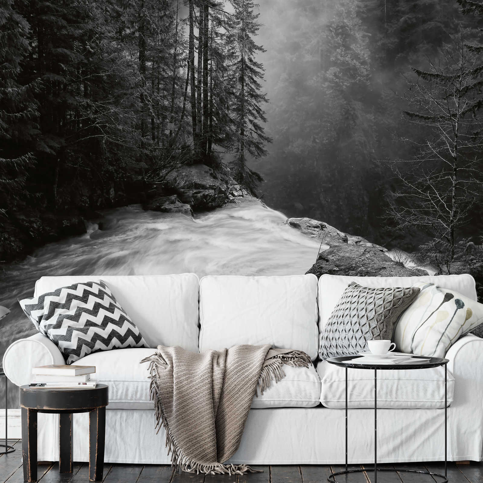             Fototapete Wald mit Wasserfall – Schwarz, Weiß, Grau
        