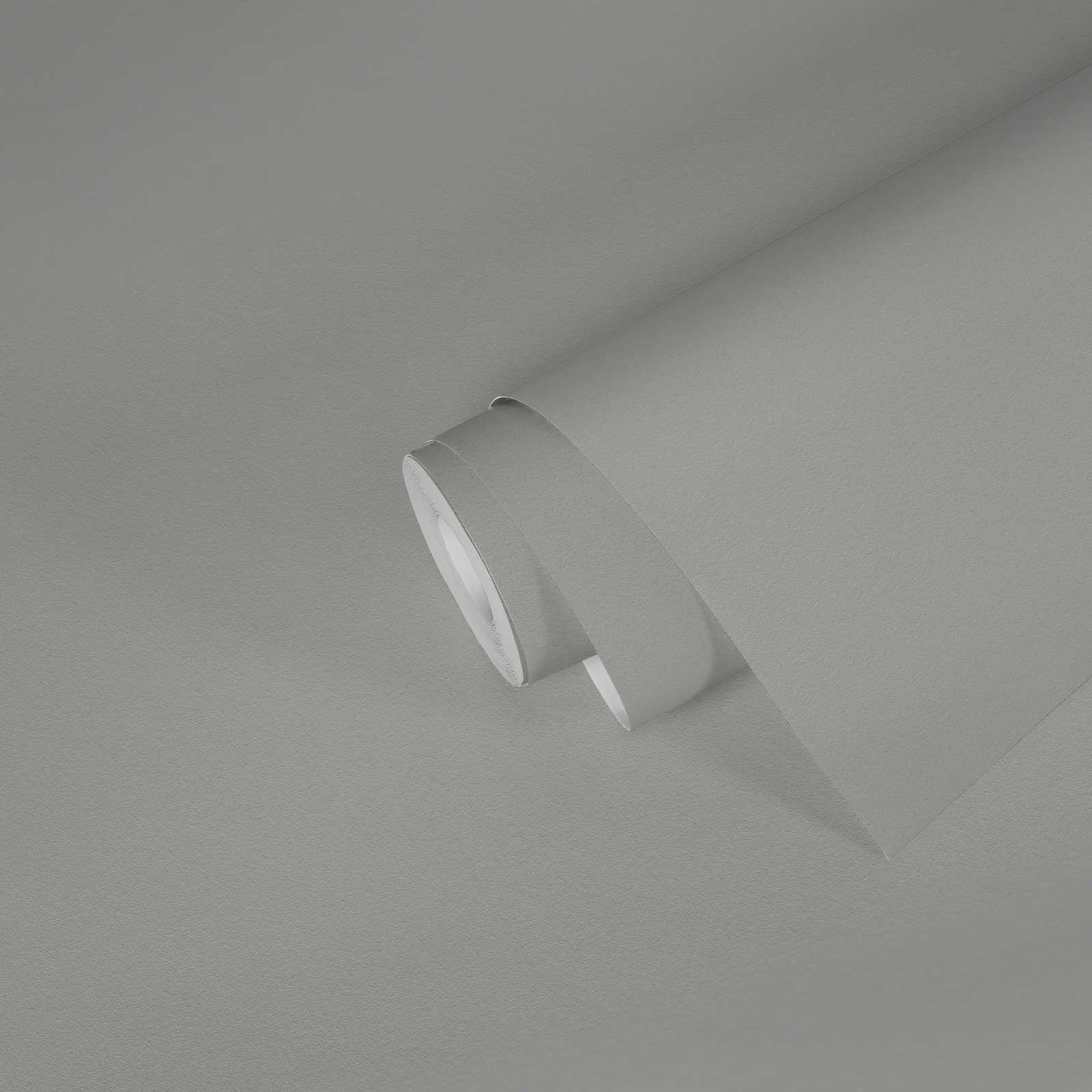             Unifarbene Tapete Grau mit matter Oberflächentextur
        