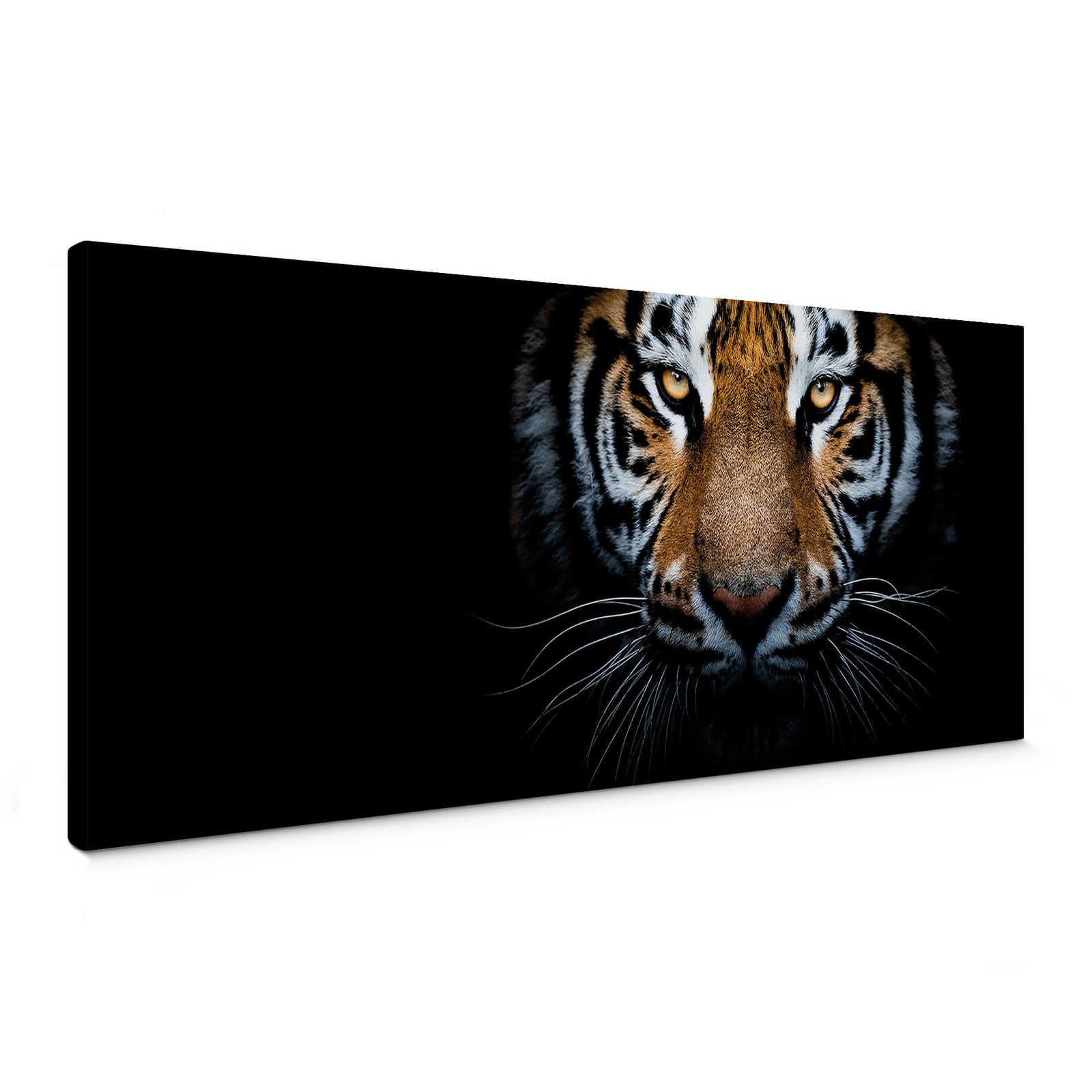 Panorama Leinwandbild mit Tiger in der Natur – 1,00 m x 0,40 m
