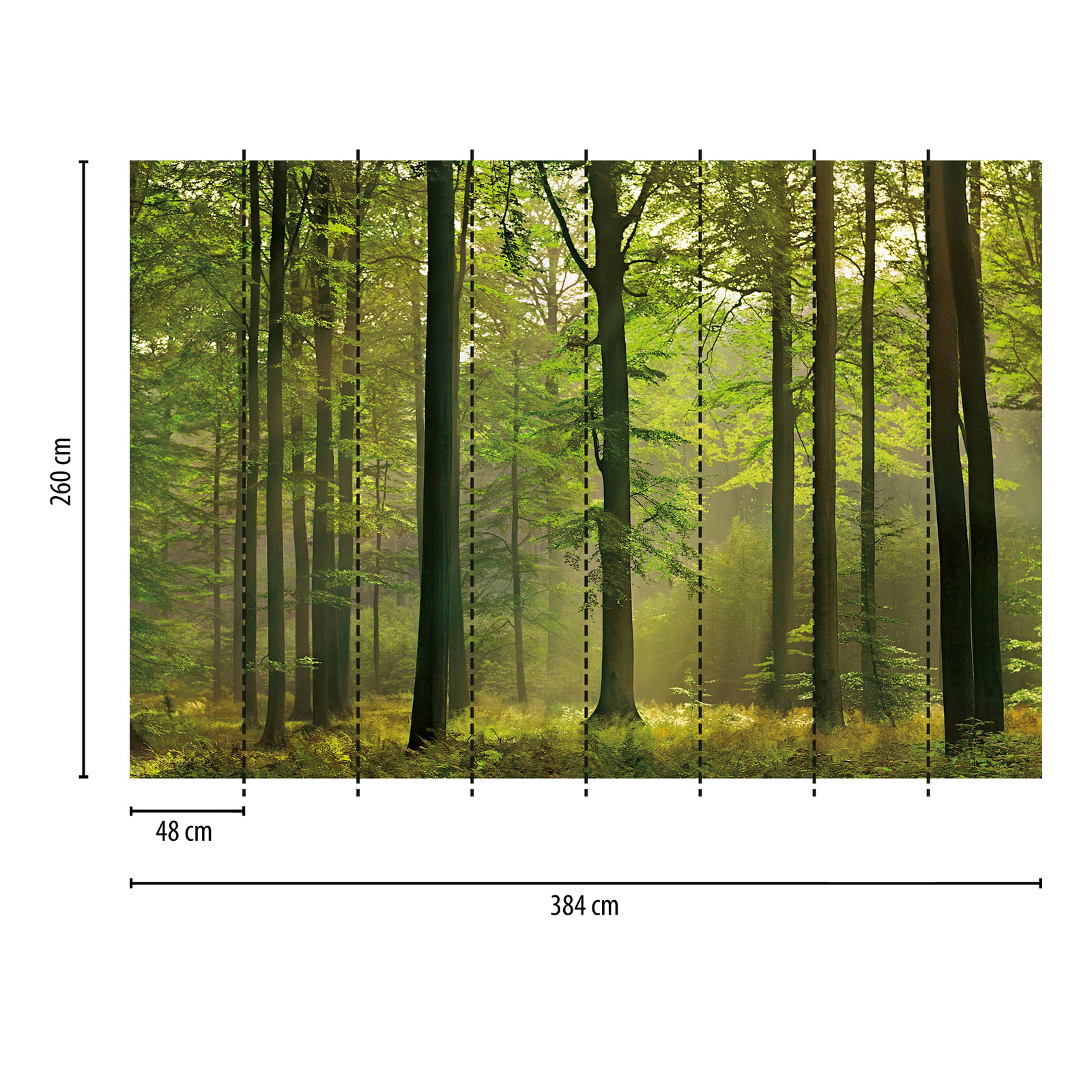             Fototapete Blätterwald im Herbstlicht – Grün, Braun
        