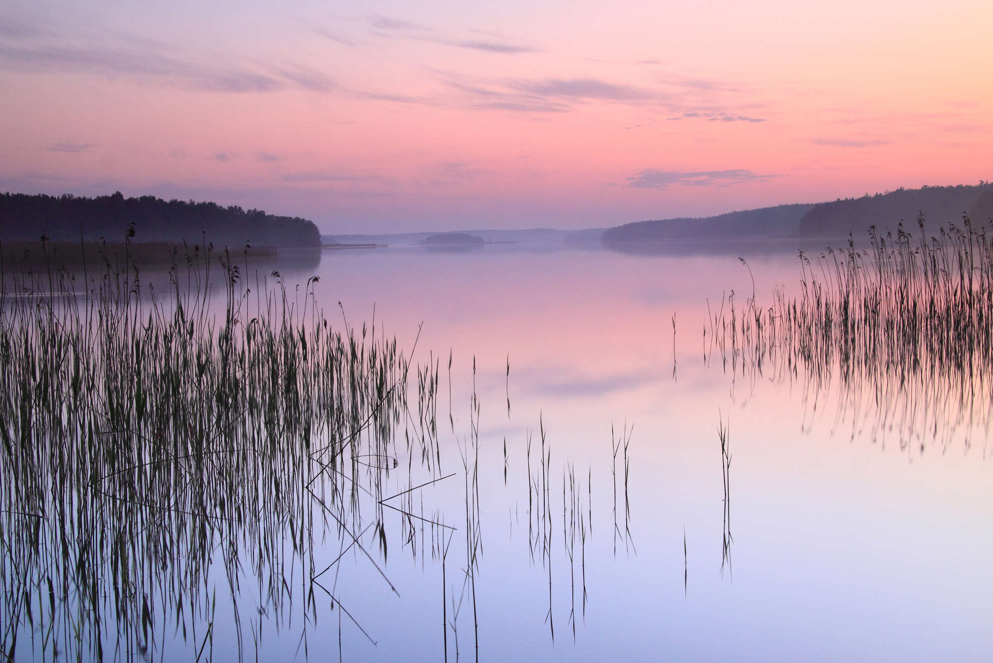             Natur Fototapete See mit Schilf am Abend auf Matt Glattvlies
        