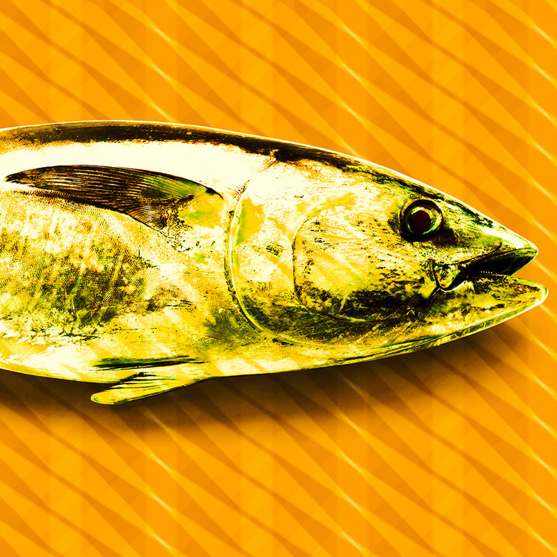         Fototapete Fisch, Pop Art Tapete mit Thunfisch – Orange, Grün, Gelb
    