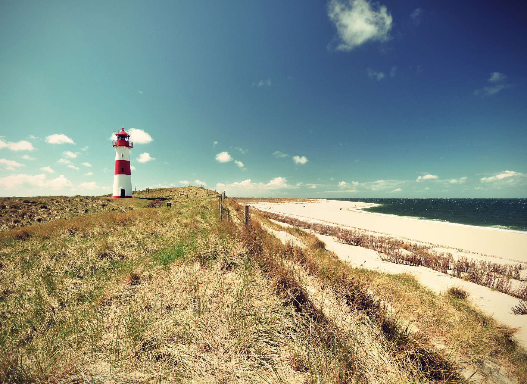             Strandlandschaft mit Leuchtturm – Grün, Blau, Braun
        