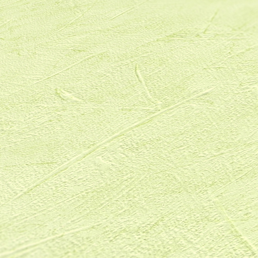             Kellenputz Papiertapete Hellgrün mit Putzoptik – Grün
        