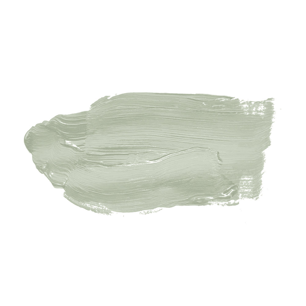            Wandfarbe in zartem Grün »Lovely Lime« TCK4003 – 2,5 Liter
        