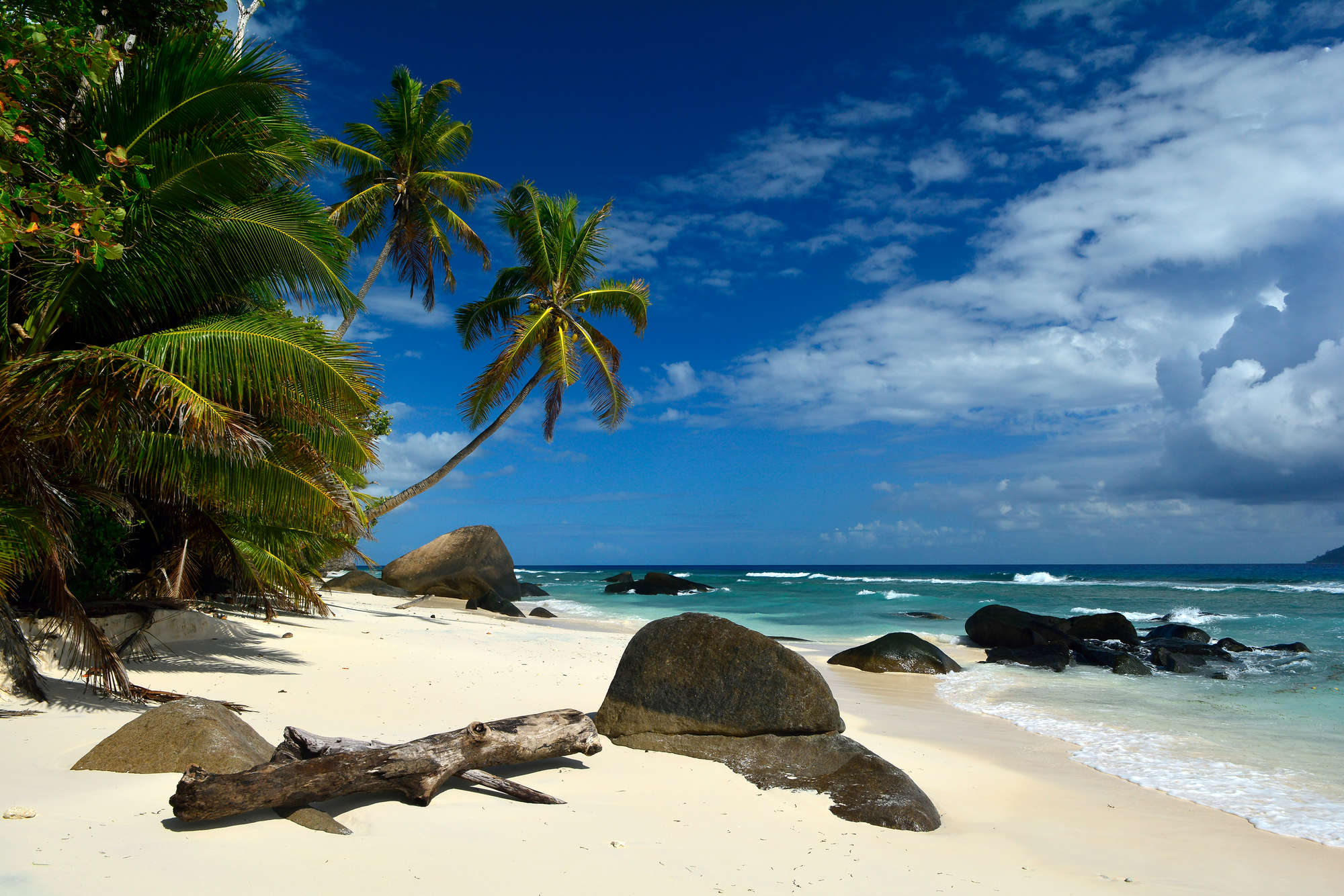             Südsee Fototapete Seychellen Palmen & Strand auf Premium Glattvlies
        