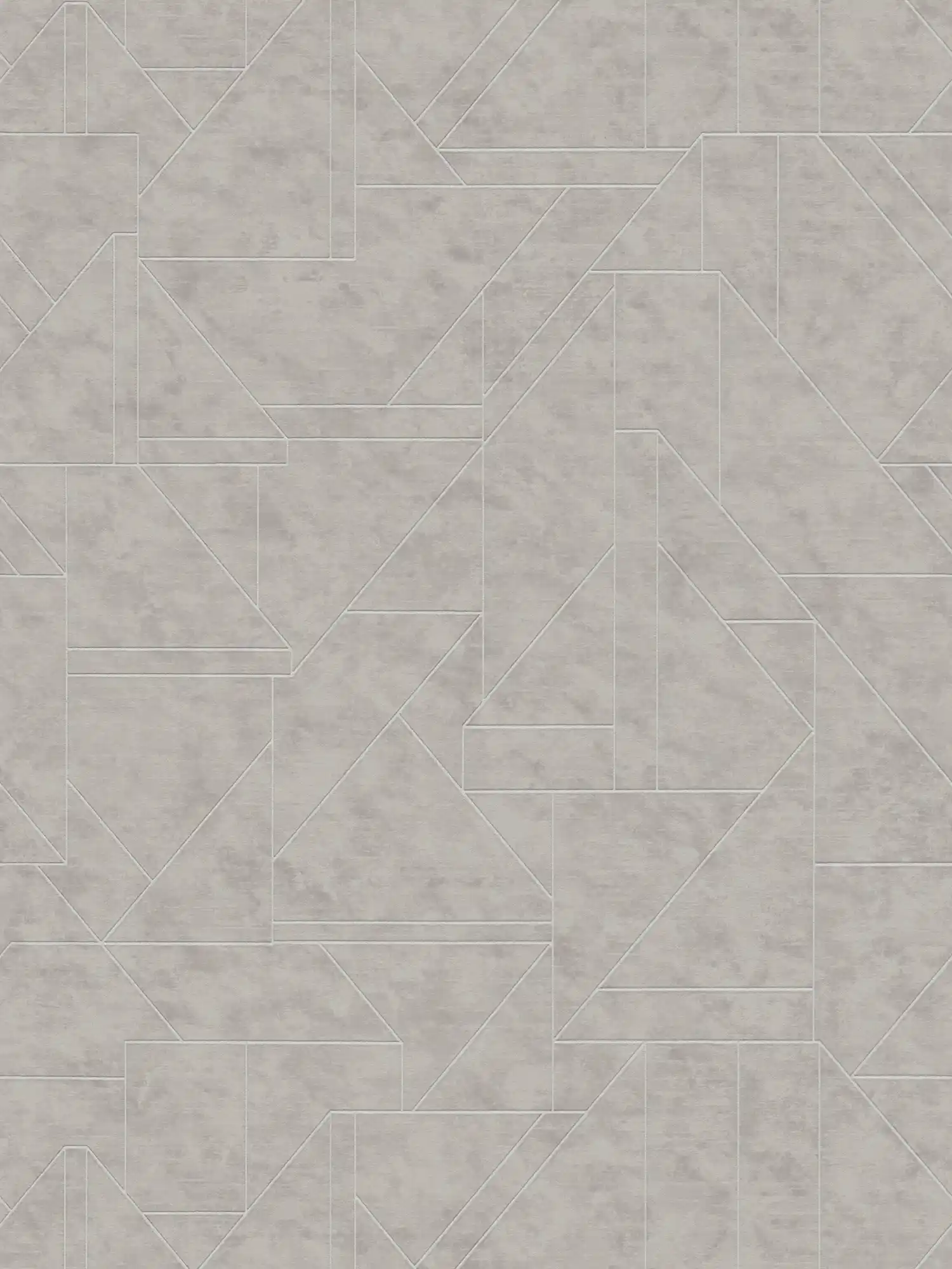 Grafische Vliestapete mit Linienmuster – Grau, Silber
