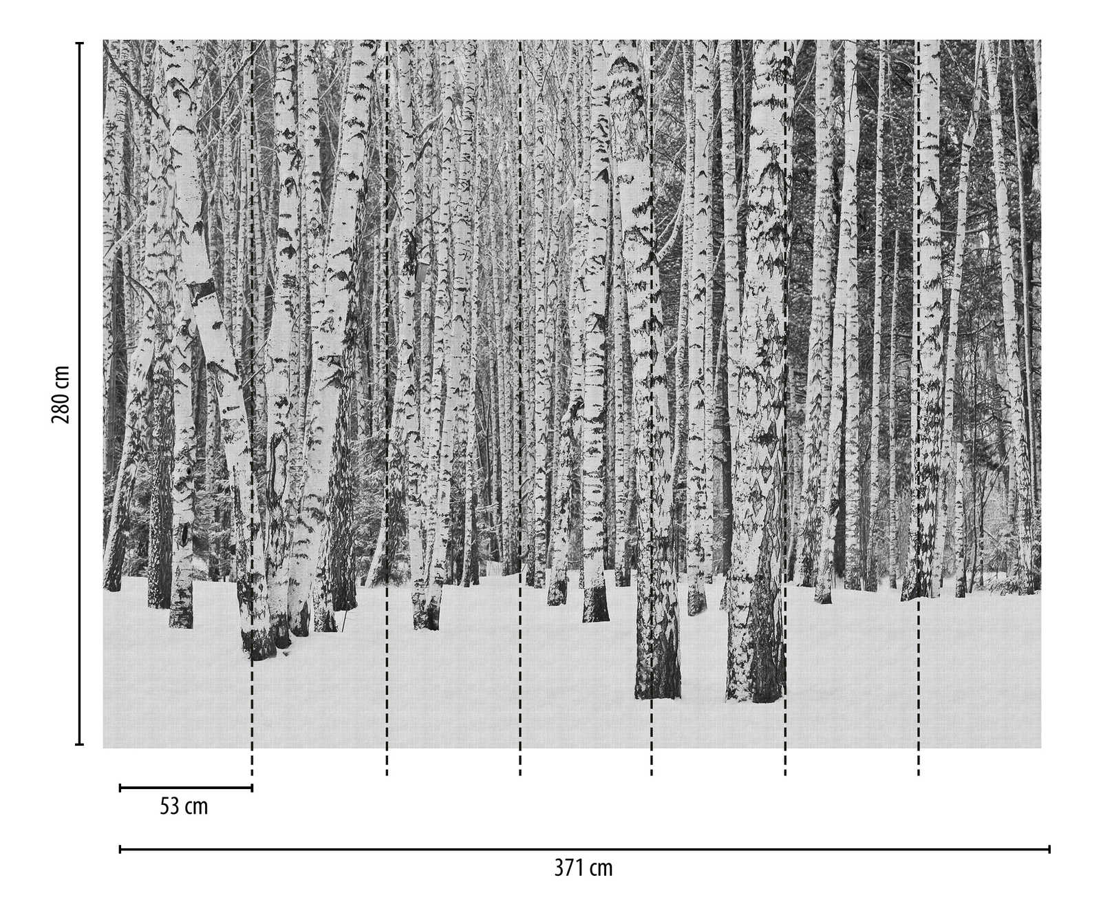             Tapeten Neuheit | Motivtapete Birkenwald im Schnee, Schwarz-Weiß
        
