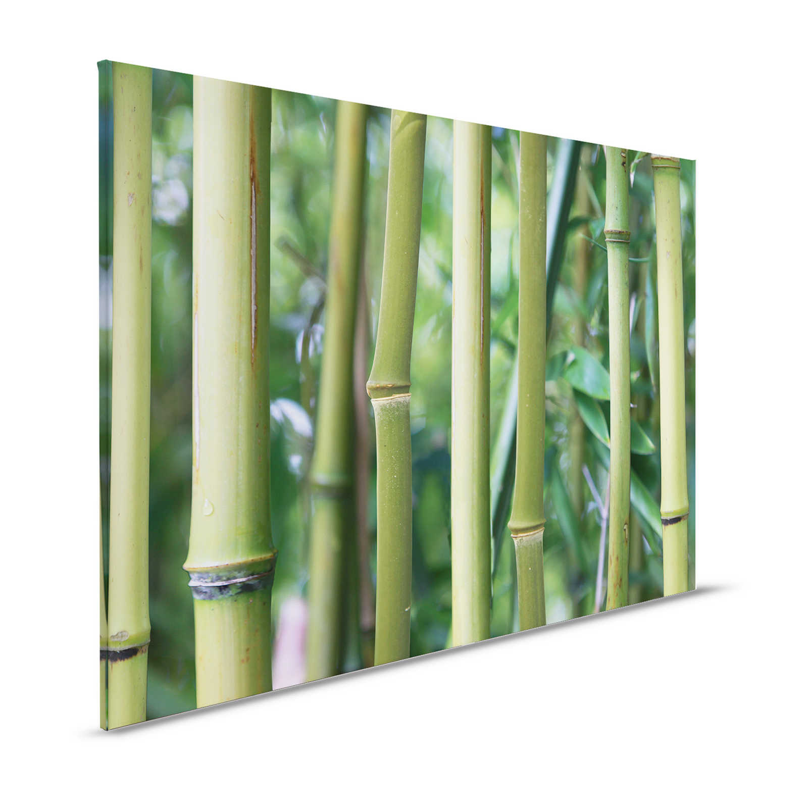 Bambus Leinwandbild Bambuswald mit Detailansicht – 1,20 m x 0,80 m
