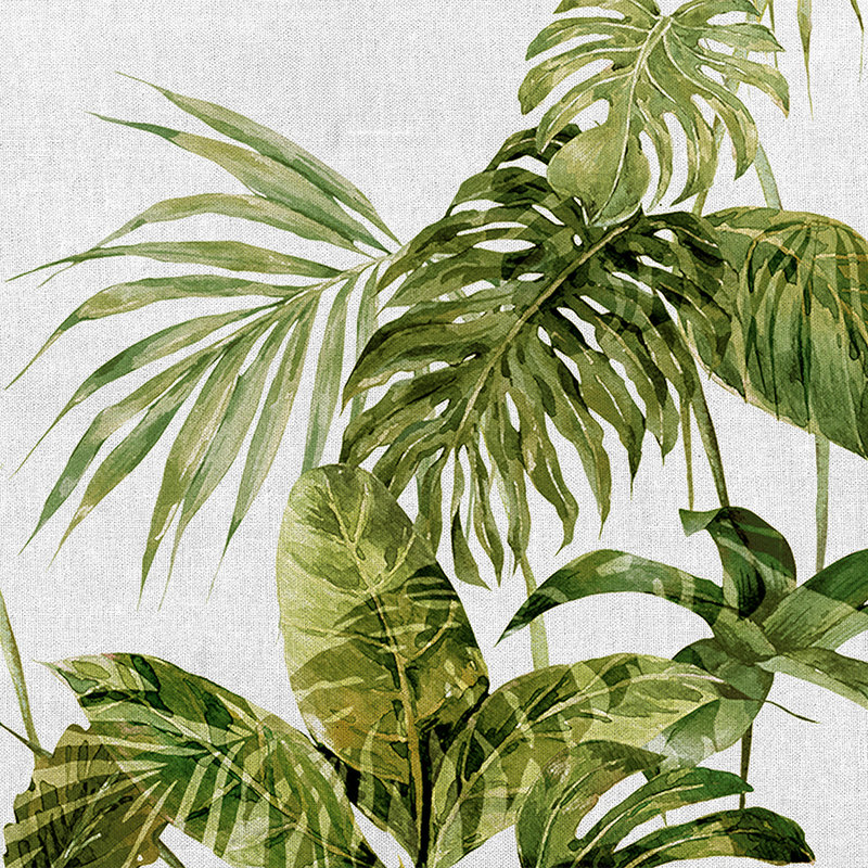 Tropische Fototapete Monstera-Blättern im Aquarell Stil – Grün, Grau
