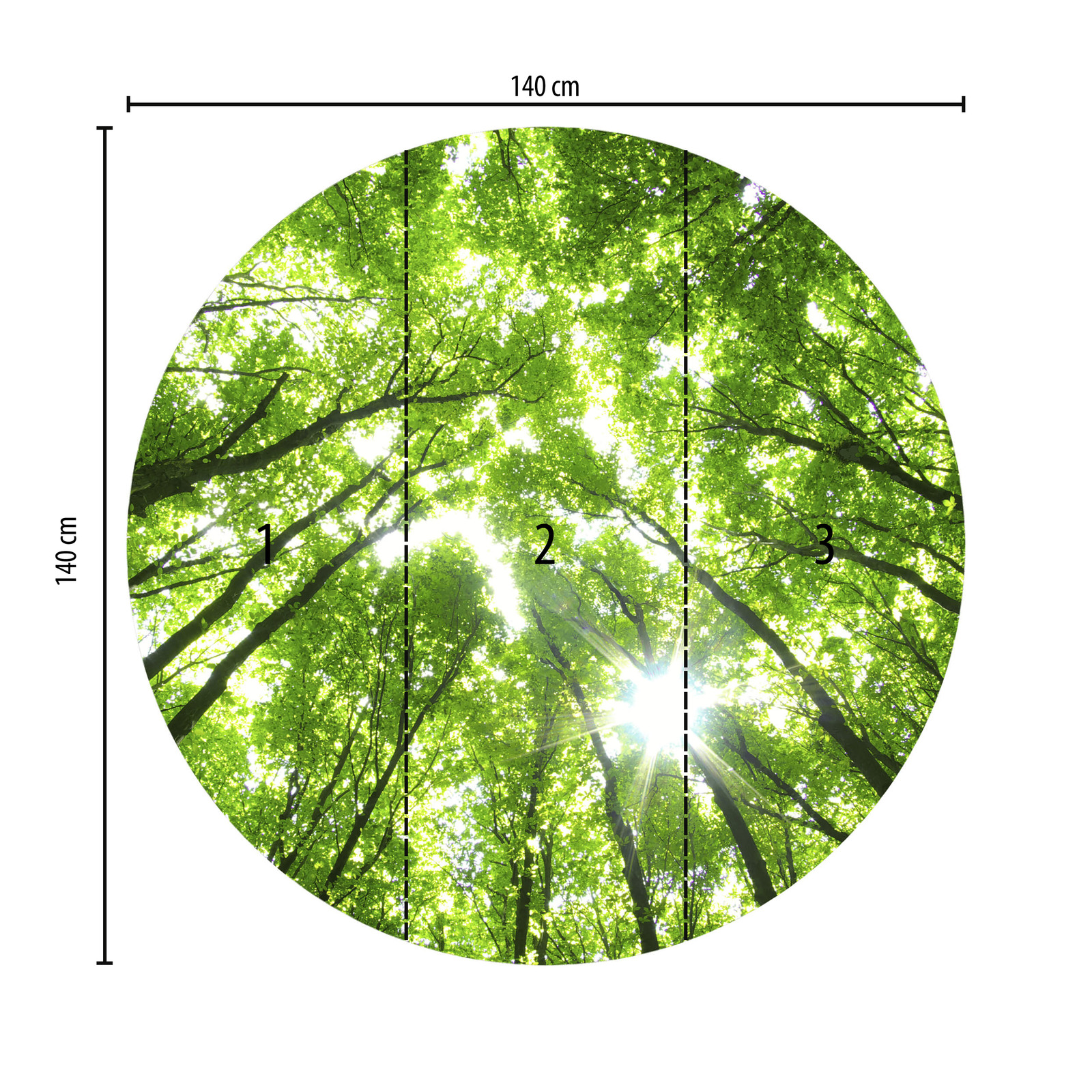             Fototapete rund Baumkronen im Sonnenschein – Grün
        