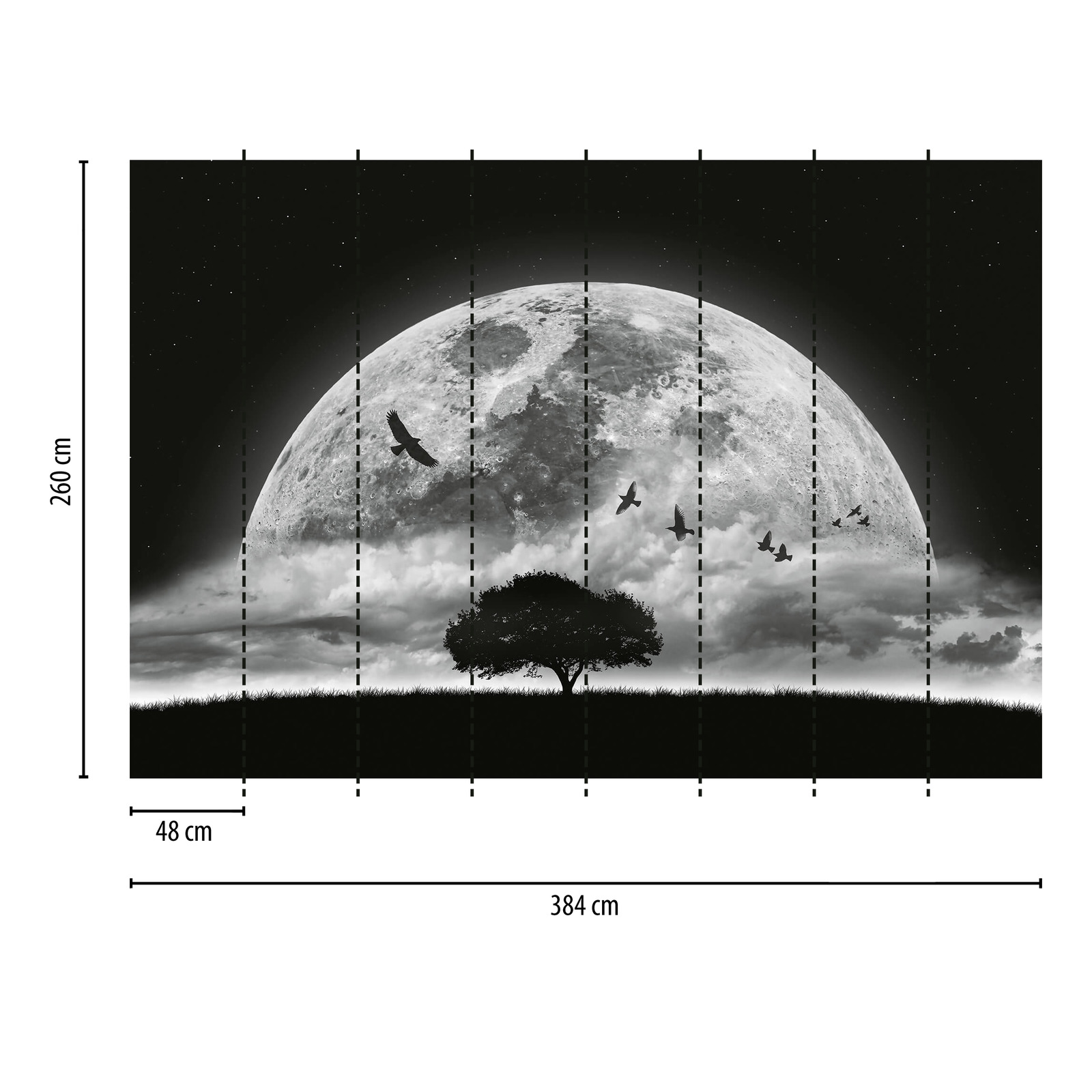             Fototapete Mond und Vögel – Schwarz, Weiß
        