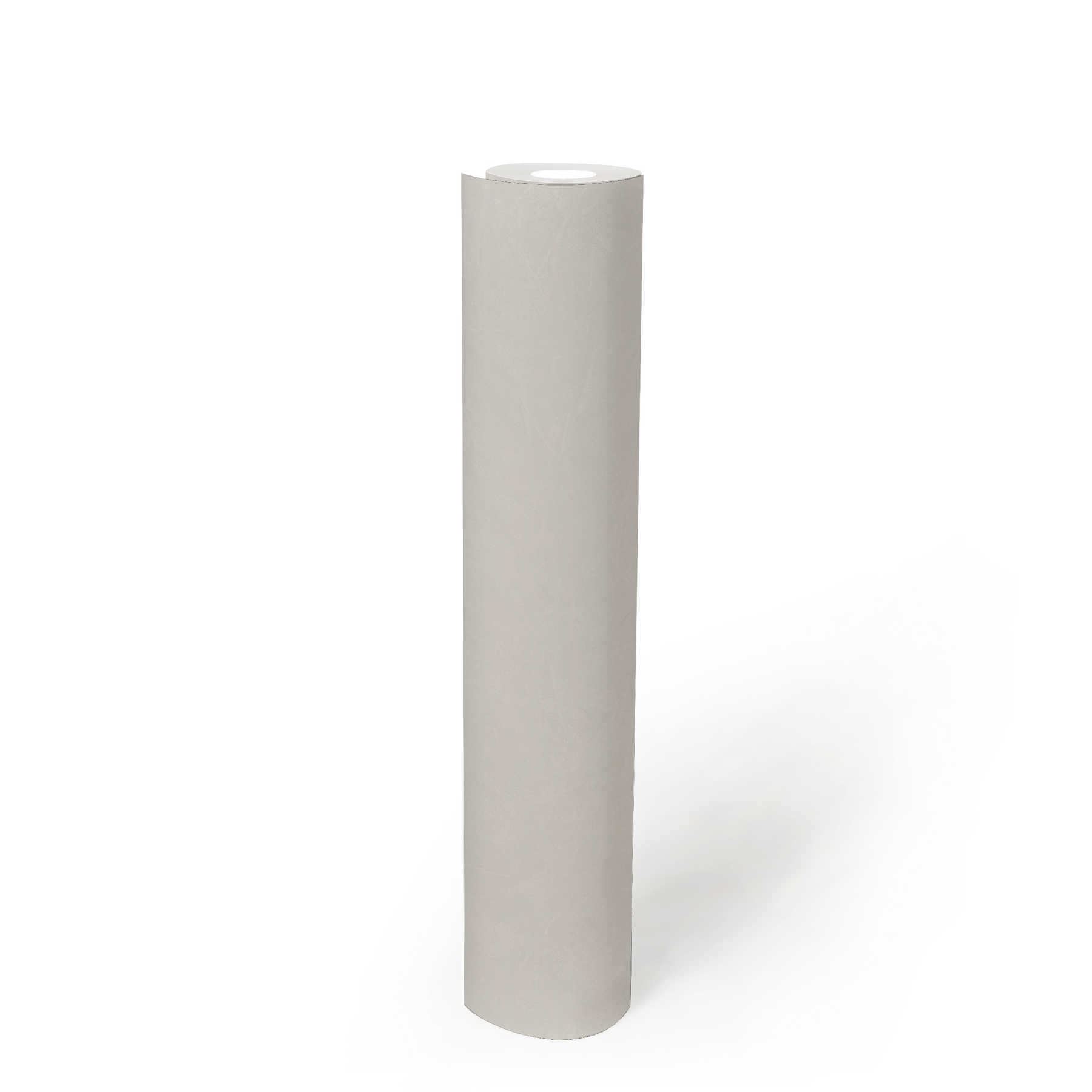             Putz-Tapete einfarbig mit Strukturmuster – Creme, Weiß
        