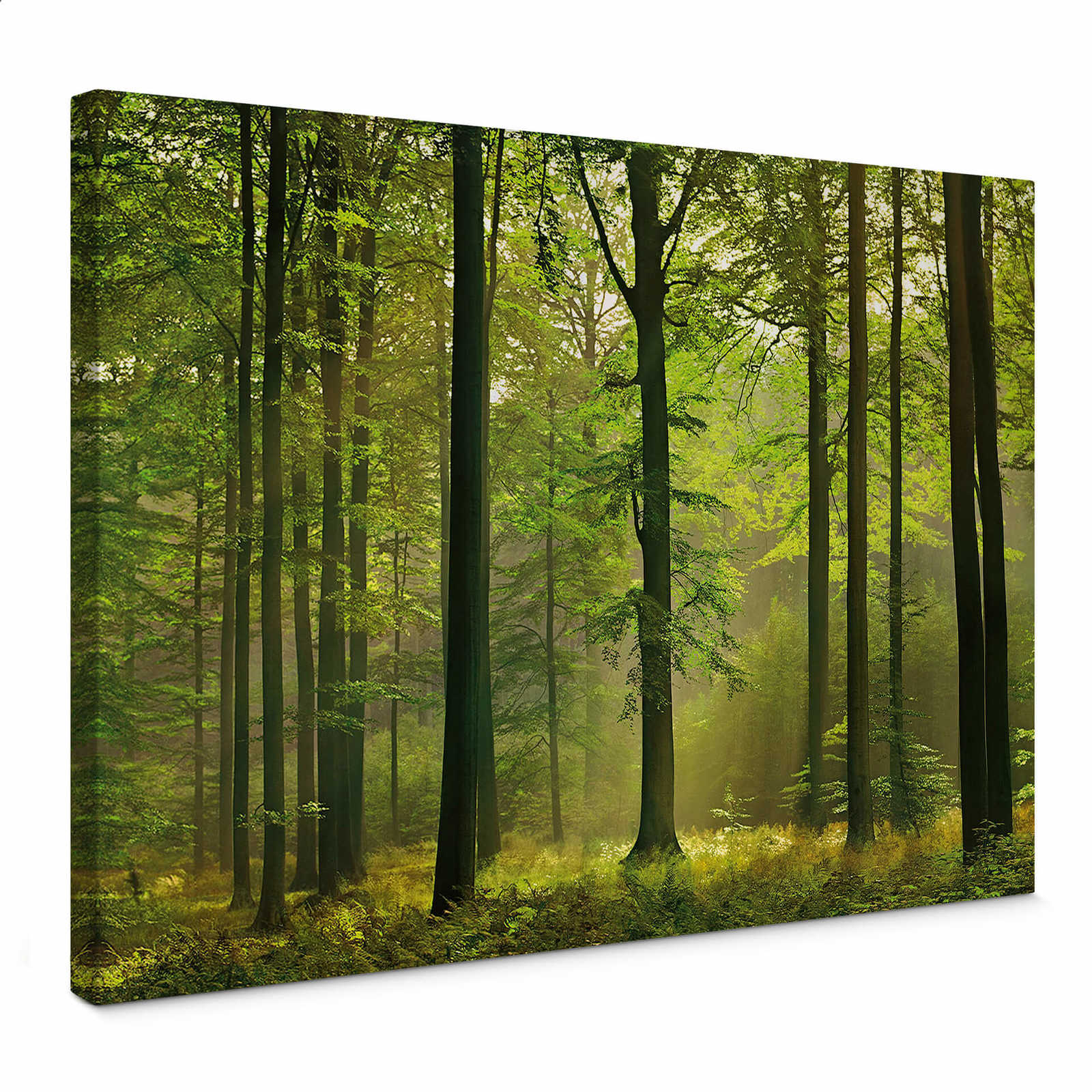 Leinwandbild Wald-Motiv Herbstblättern – 0,70 m x 0,50 m
