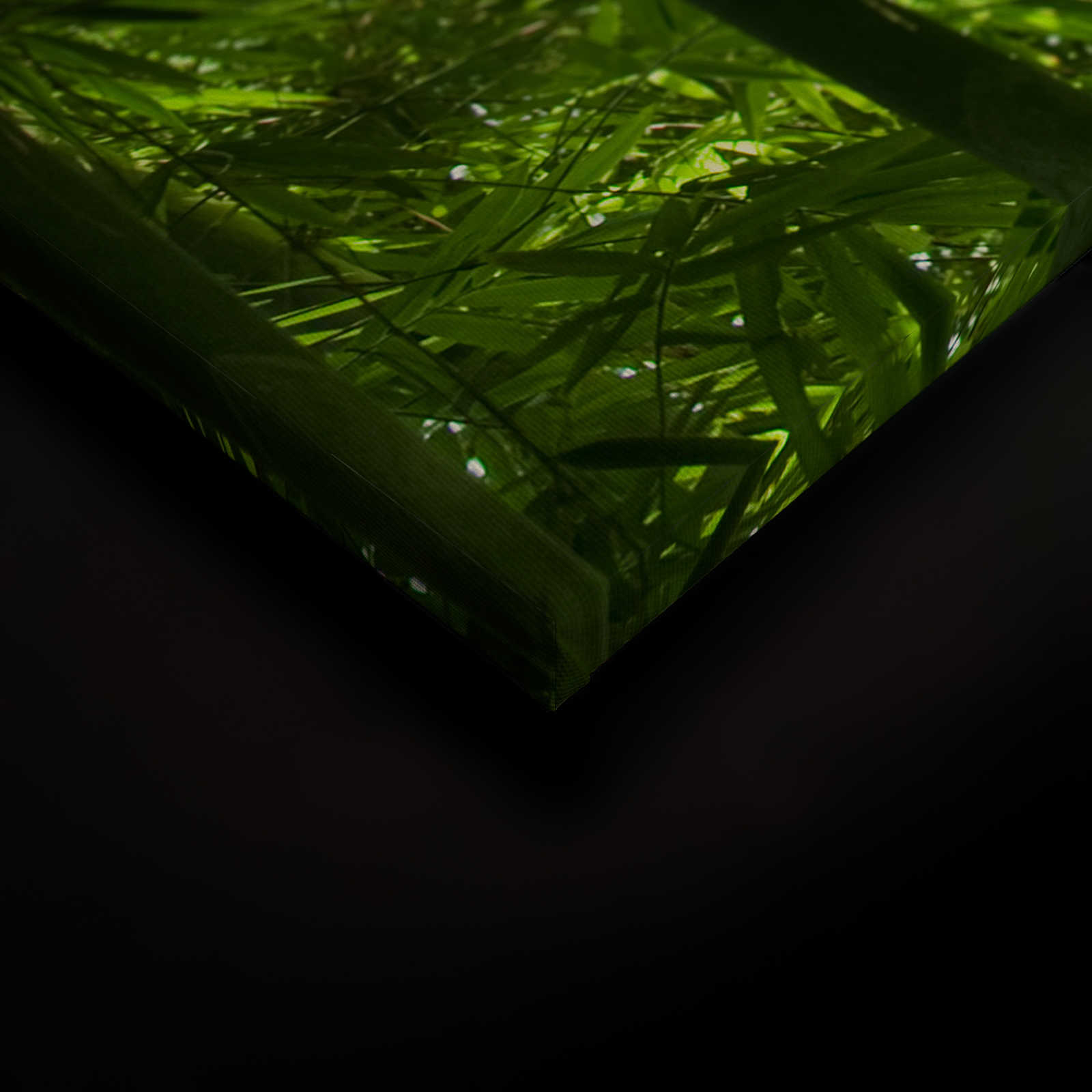             Leinwandbild Bambus und Blätter – 1,20 m x 0,80 m
        