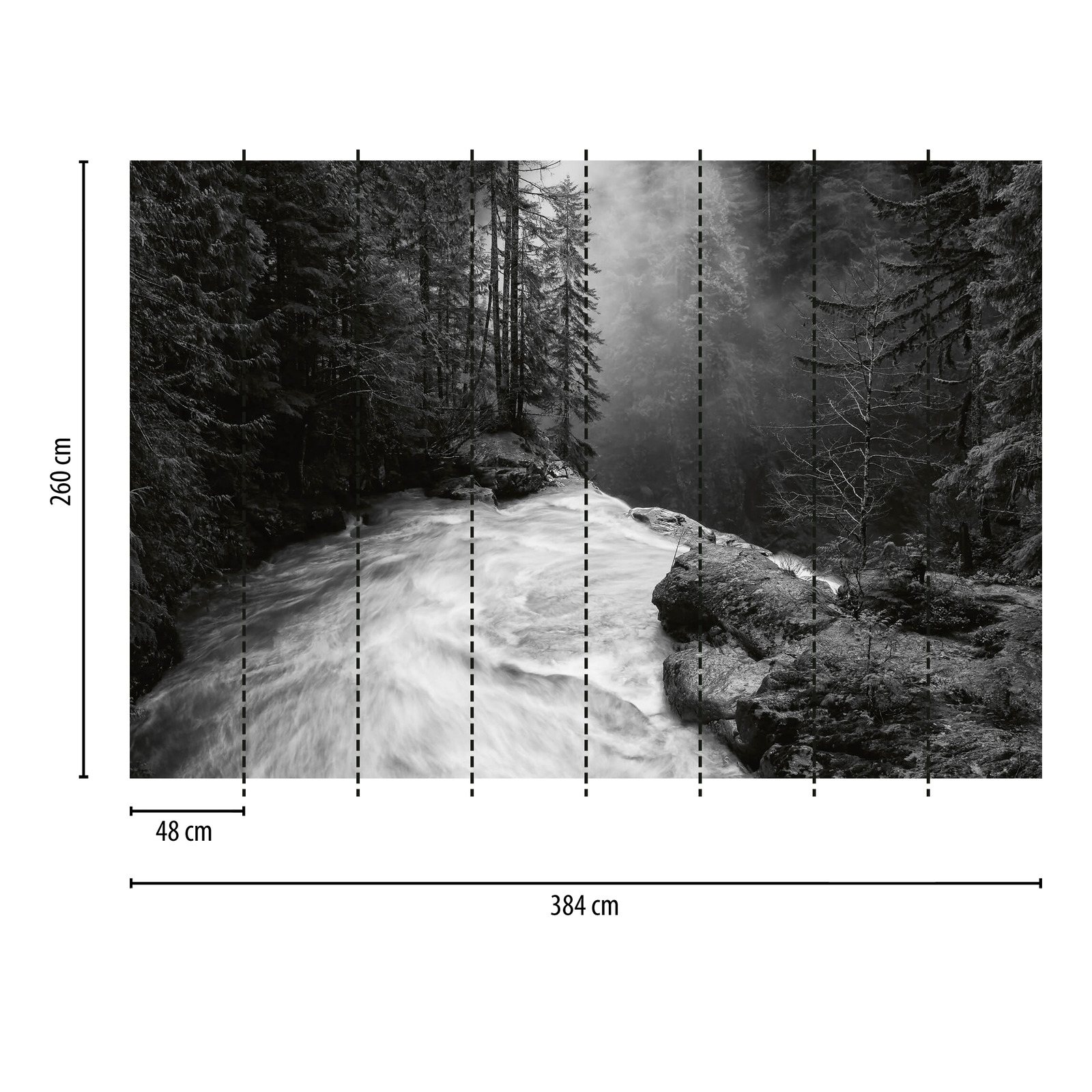             Fototapete Wald mit Wasserfall – Schwarz, Weiß, Grau
        