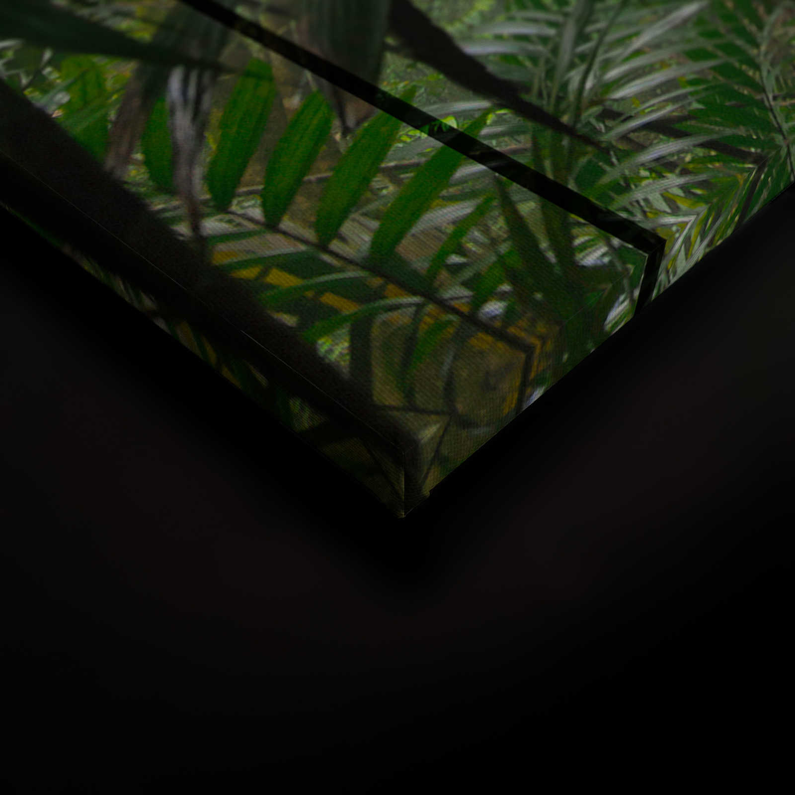             Rainforest 1 - Loftfenster Leinwandbild mit Dschungel Aussicht – 0,90 m x 0,60 m
        