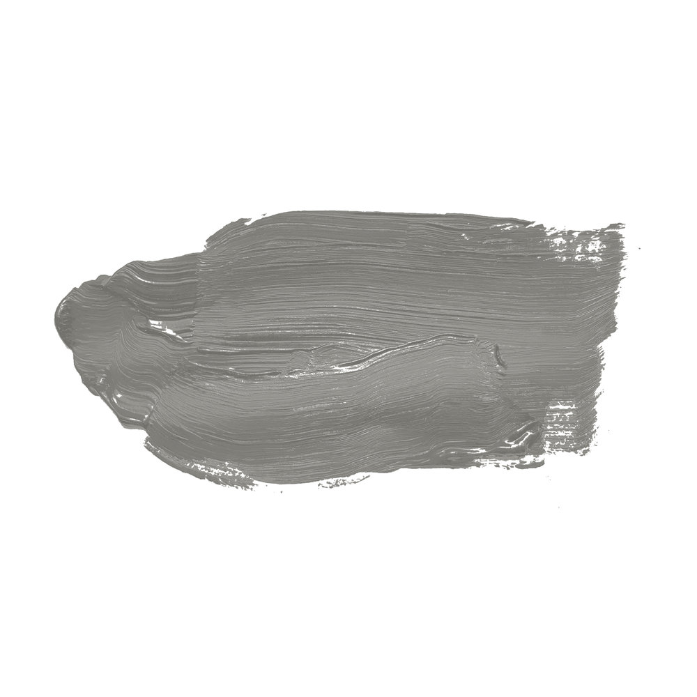             Wandfarbe in grünlichem Grau »Miraculous Mackerel« TCK1012 – 2,5 Liter
        