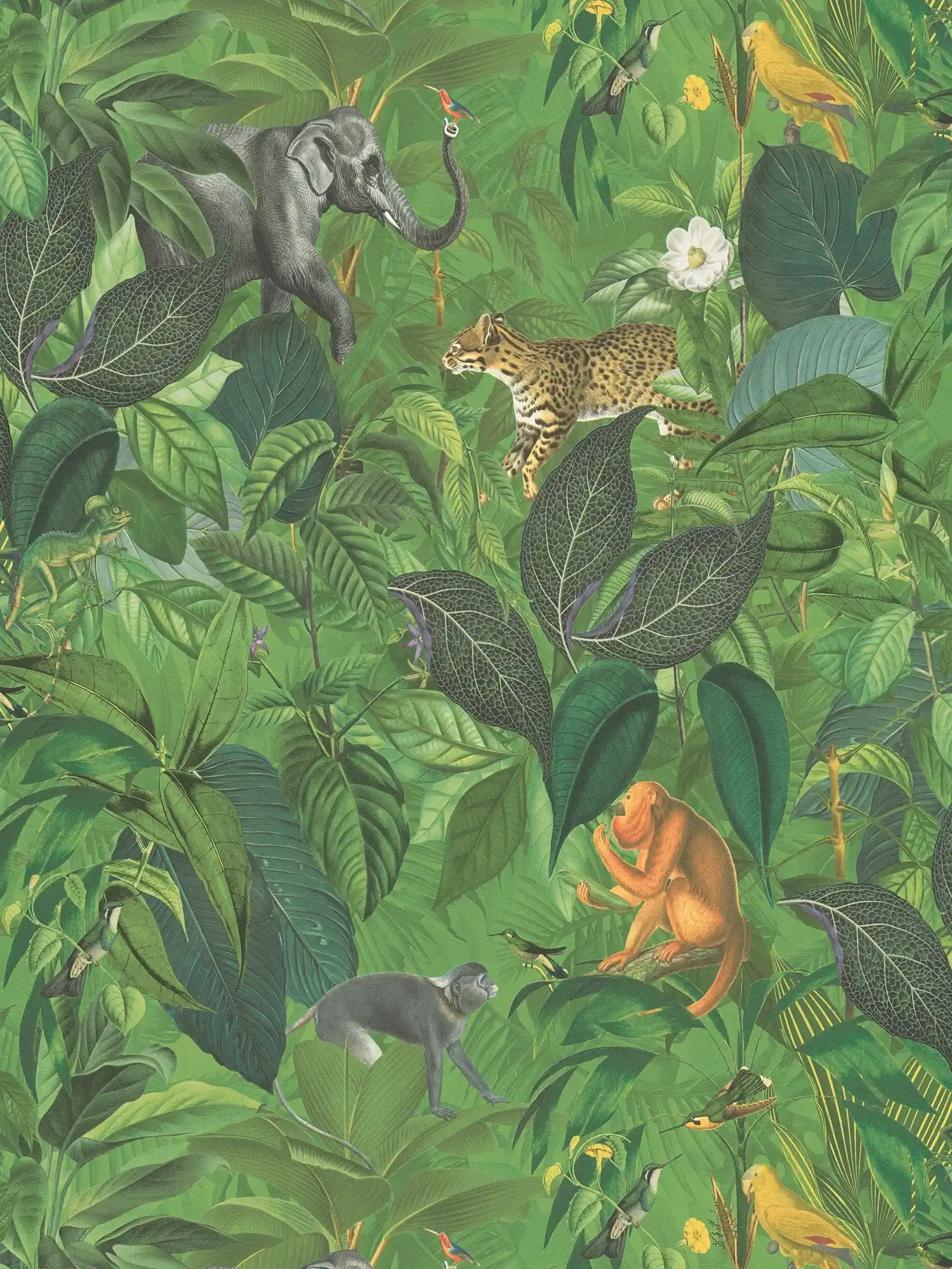 Dschungel Tapete mit Tieren, Kindermotiv – Grün
