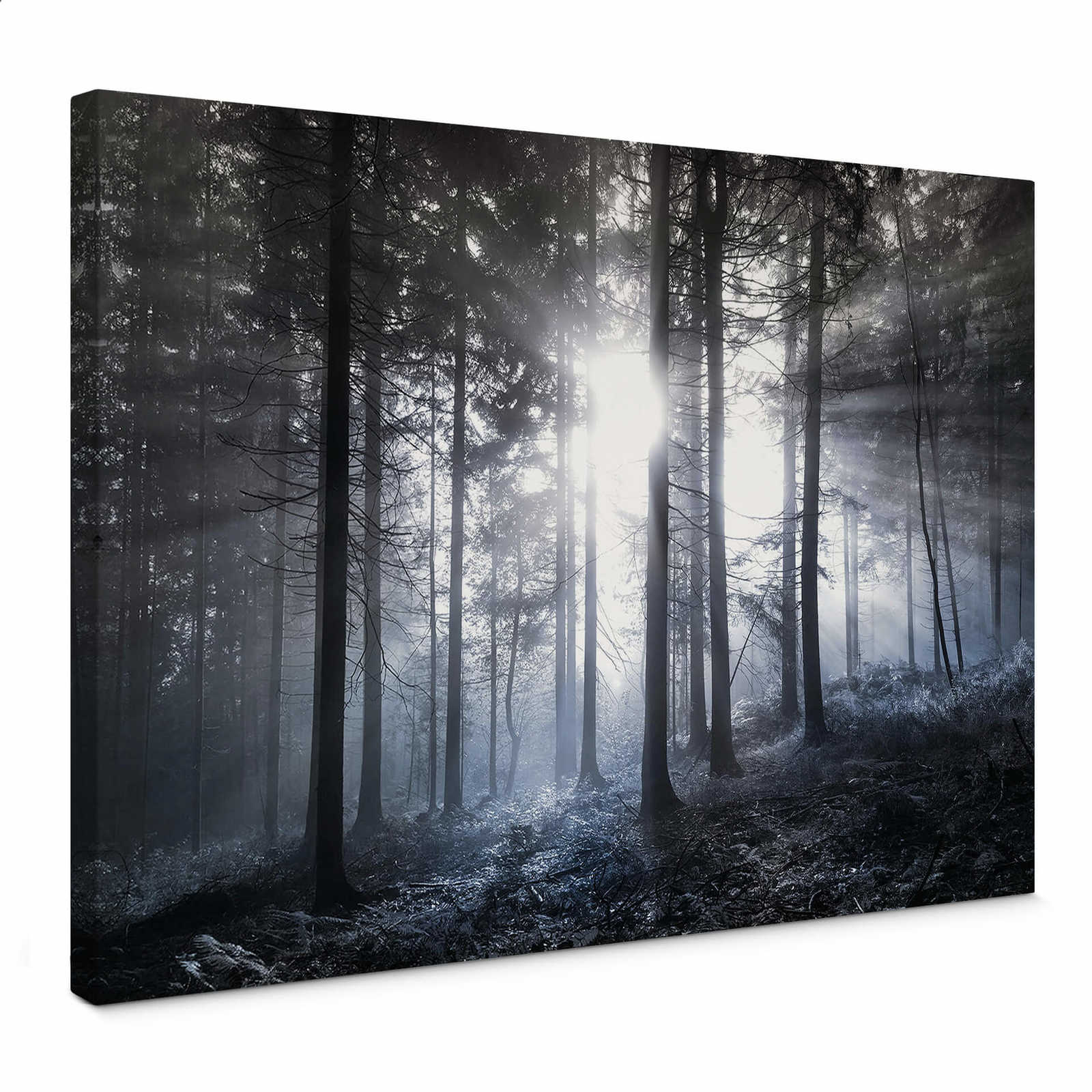 Leinwandbild Wald im Morgengrauen – 0,70 m x 0,50 m
