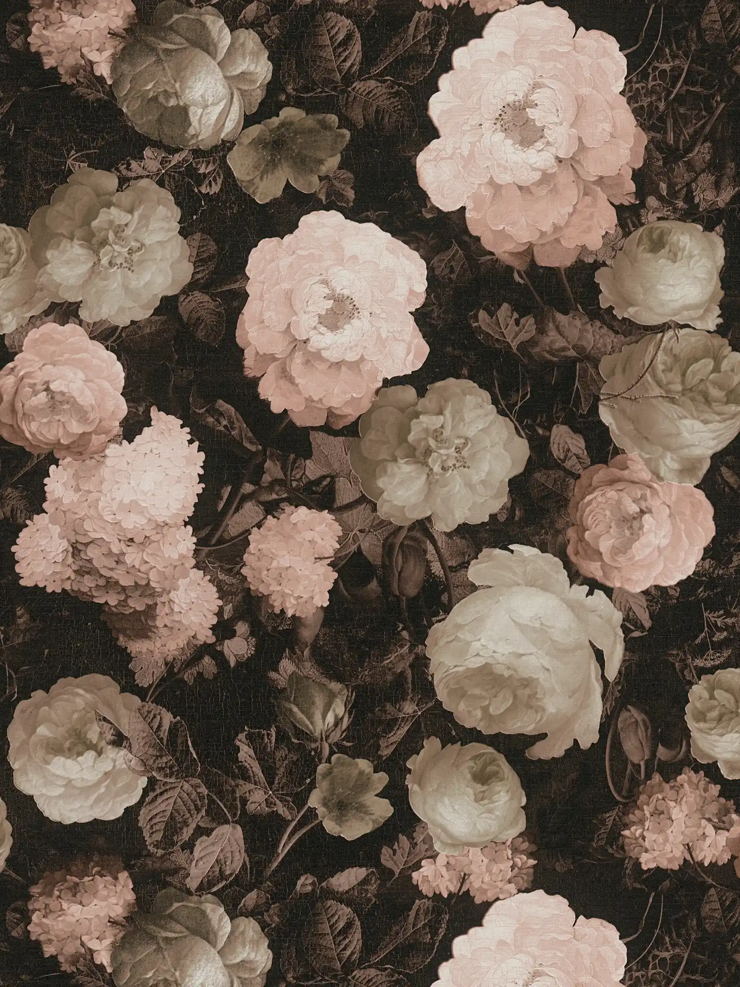 Motivtapete Rosenblüten, Strauchrosen – Rosa, Rot, Grau
