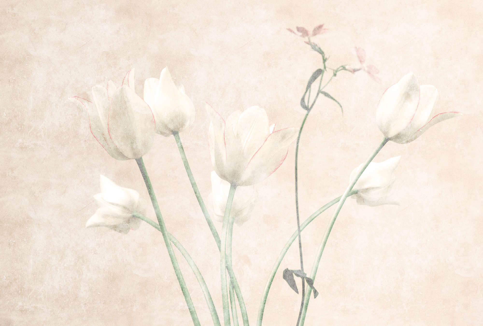             Morning Room 3 – Blumen Fototapete Tulpen im verblassten Stil
        