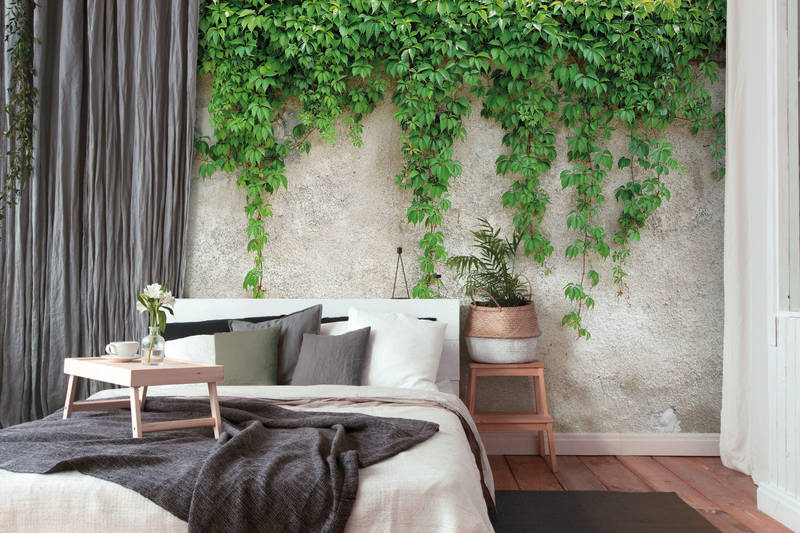             Betonmauer mit Blätterranken – Grün, Grau
        