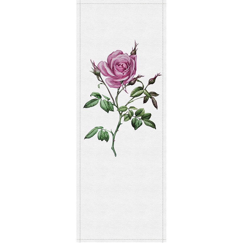 Spring panels 2 - Fotopaneel in gerippter Struktur mit Rose im Botanical Stil – Grau, Rosa | Perlmutt Glattvlies
