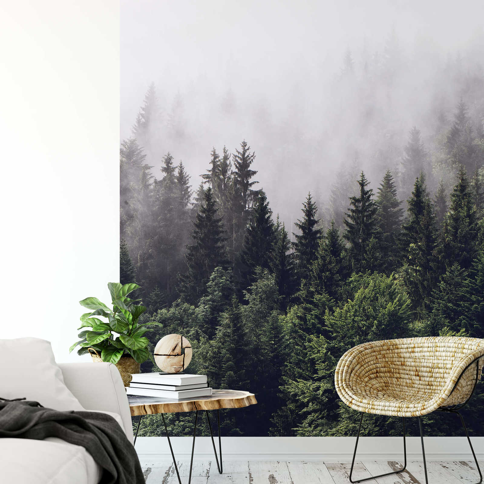             Fototapete Nebelwald im Hochformat – Grün, Weiß
        